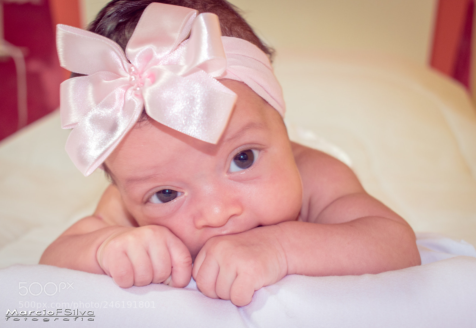 Nikon D5500 sample photo. Hello, my name is photography