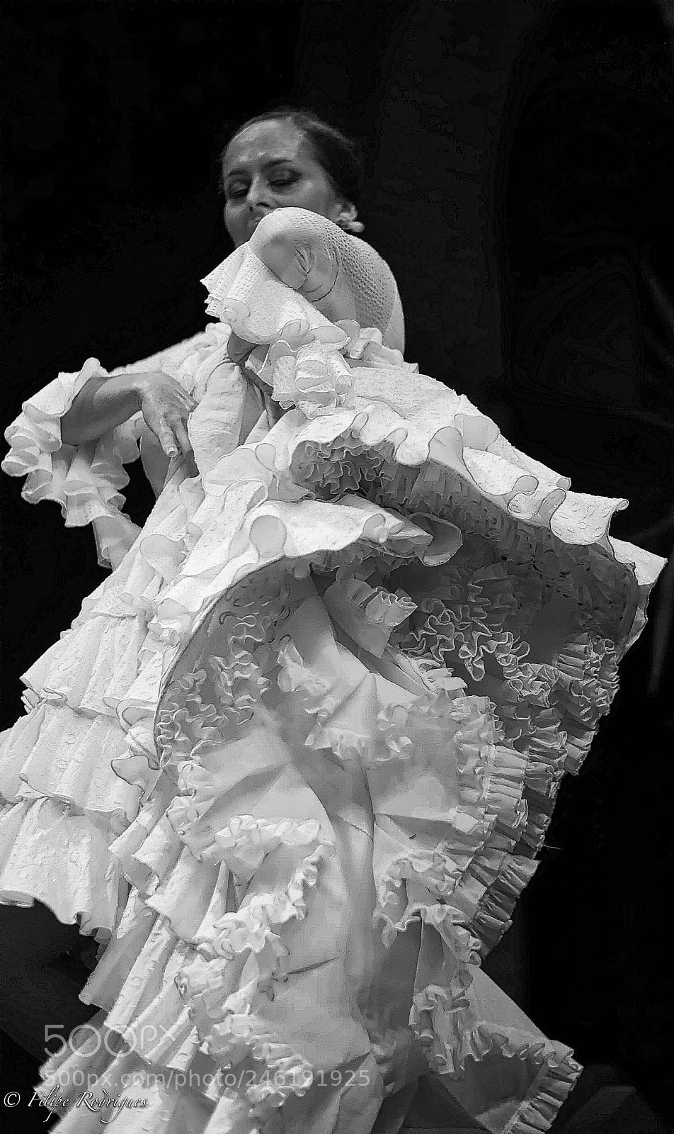 Nikon D800E sample photo. Frills photography