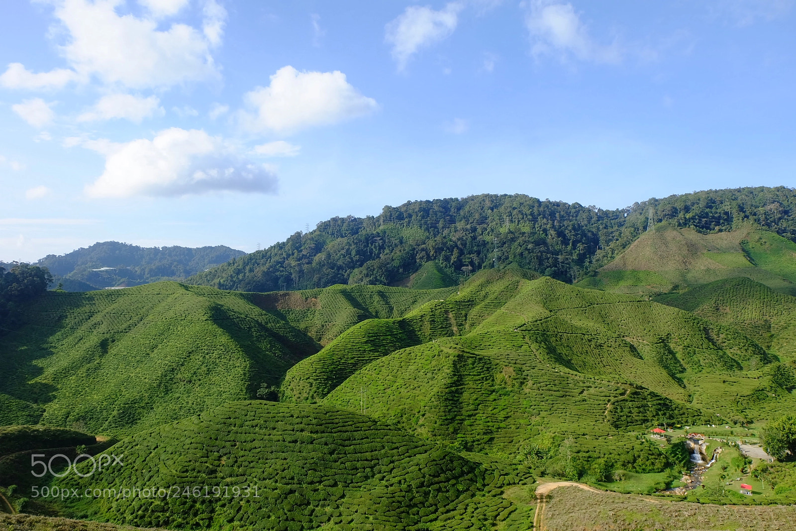 Fujifilm X-A2 sample photo. Tea valley photography