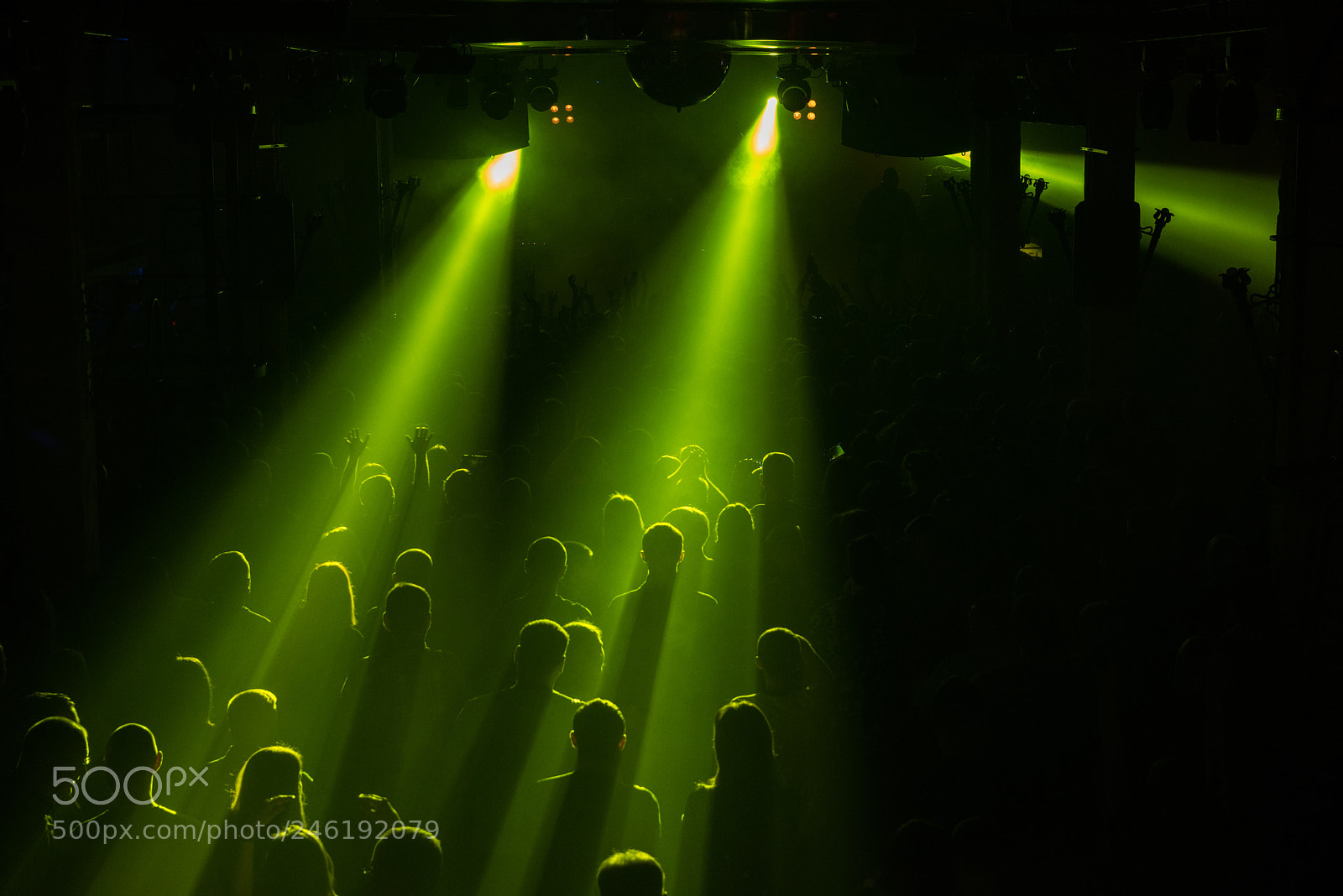 Nikon D810 sample photo. Rock concert crowd photography
