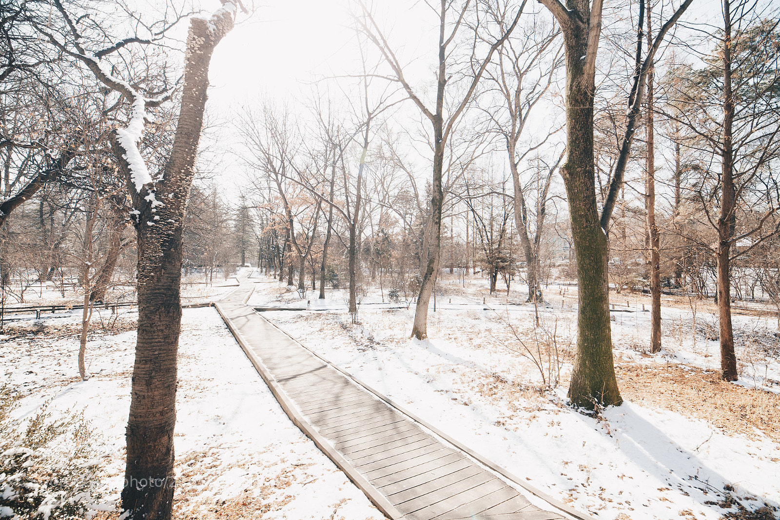 Canon EOS-1Ds Mark II sample photo. Winter landscape photography