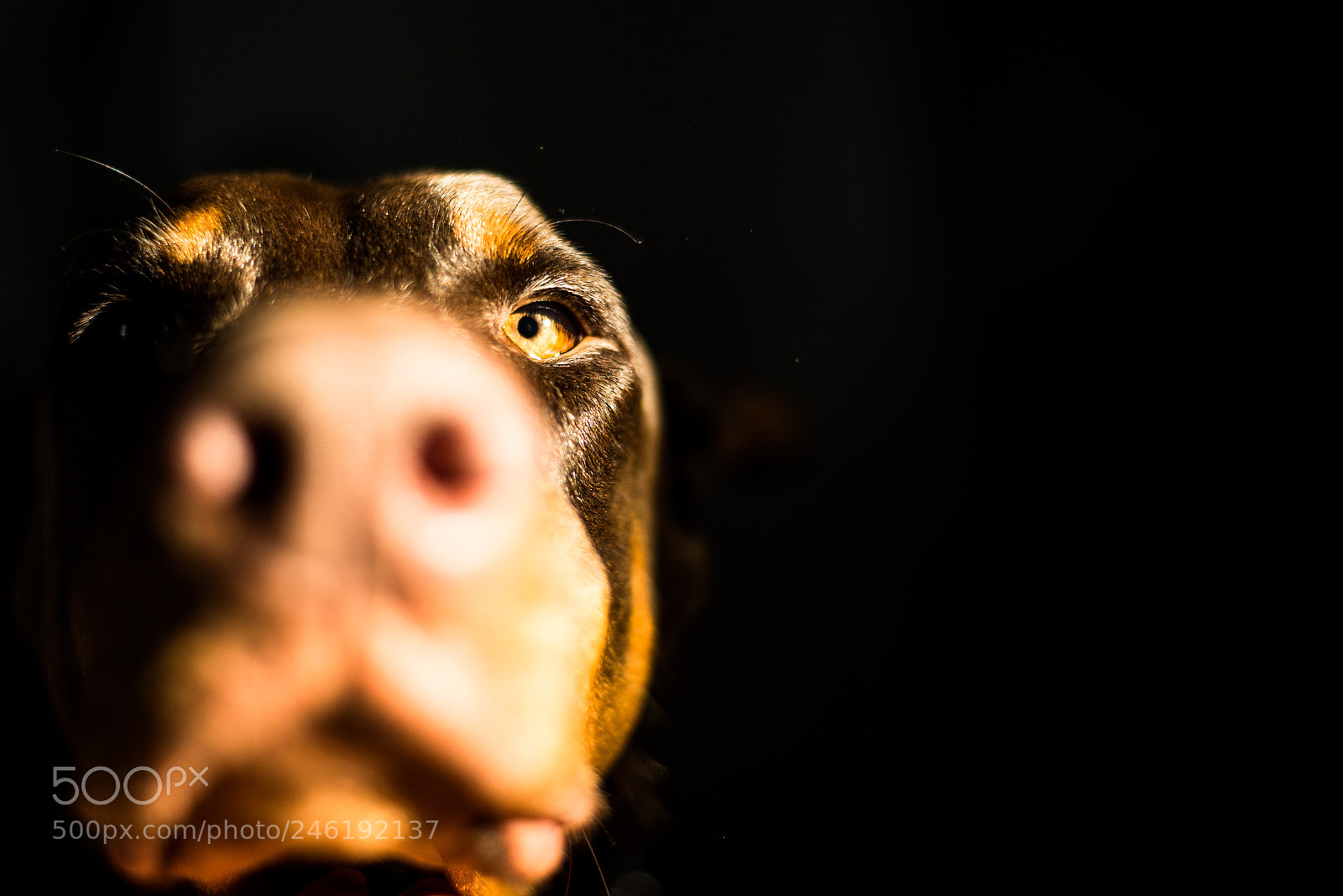 Nikon D610 sample photo. I can see your photography