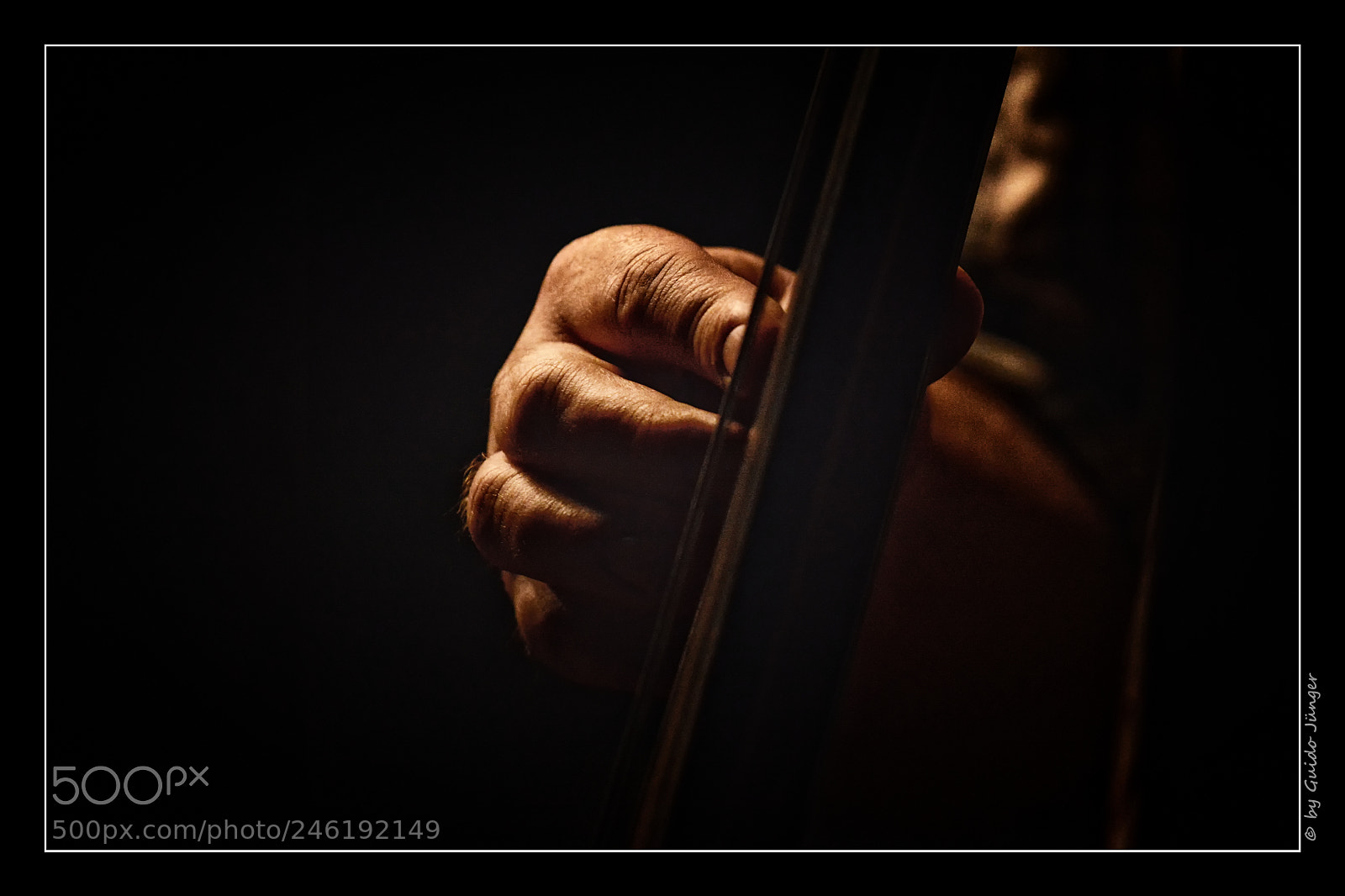 Nikon D7100 sample photo. Playing contrabass photography
