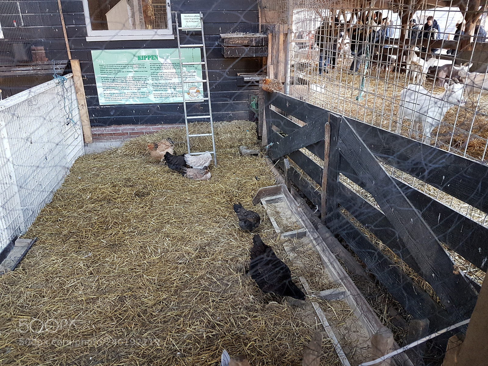 Samsung Galaxy S7 sample photo. Geiten boerderij photography