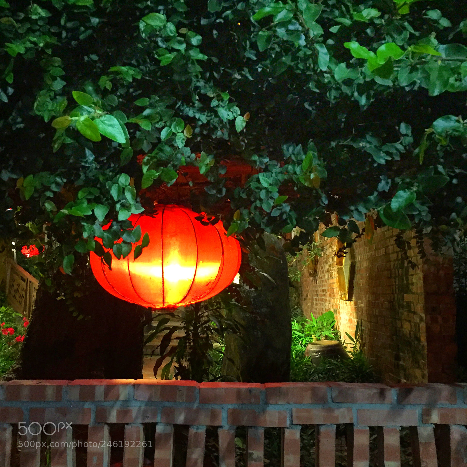 Apple iPhone 6 sample photo. 年夜飯的用餐地方，是中式庭園景觀，紅色燈籠高掛增添年節團圓氛圍 photography