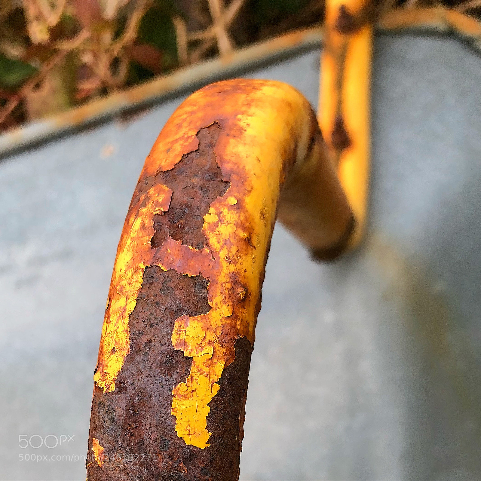 Apple iPhone 8 Plus sample photo. Rusty imagination close-up nice photography