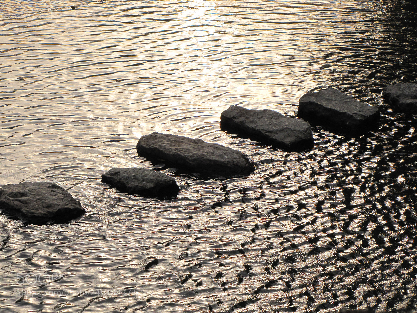 Canon PowerShot SX10 IS sample photo. Img photography