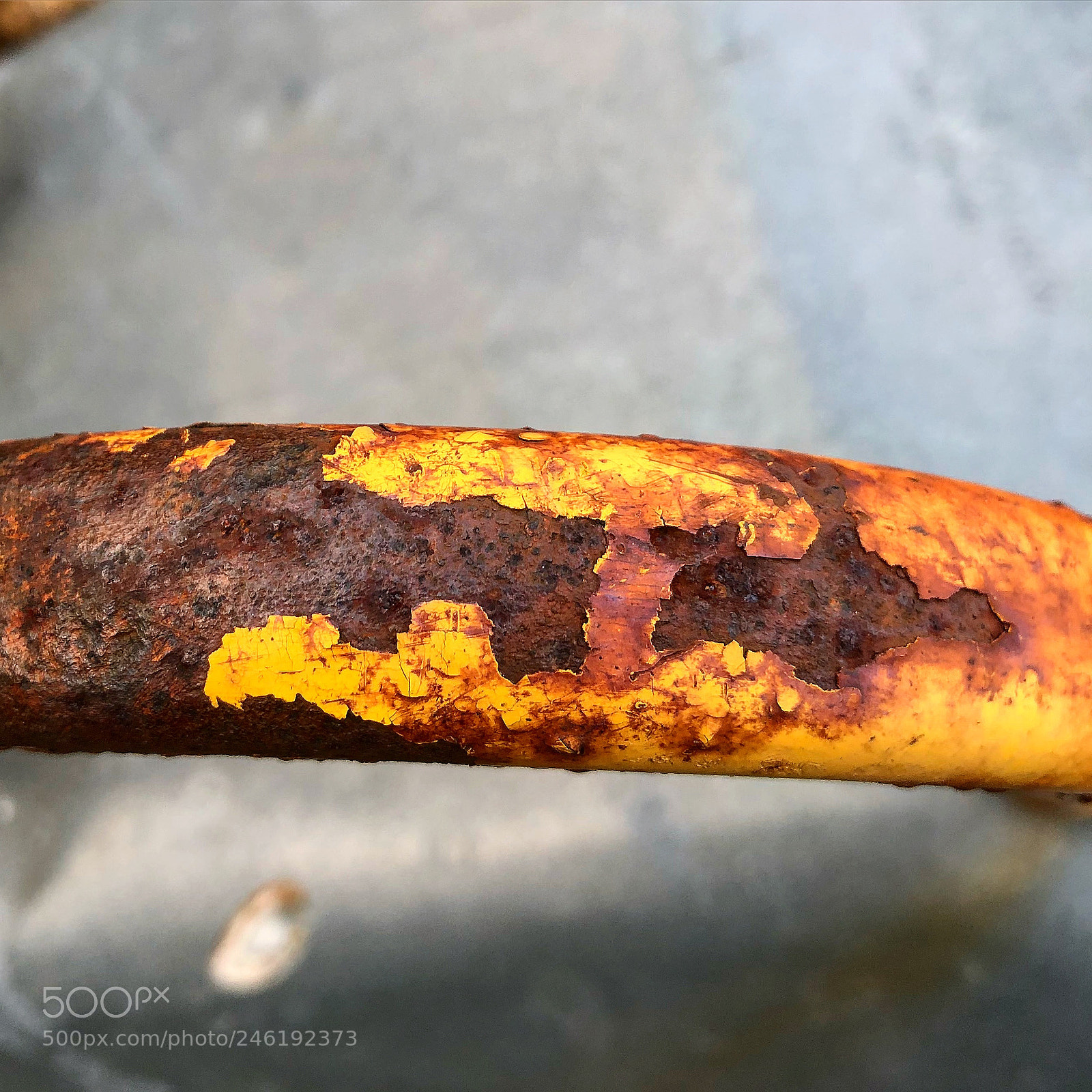 Apple iPhone 8 Plus sample photo. Rusty imagination close-up nice photography