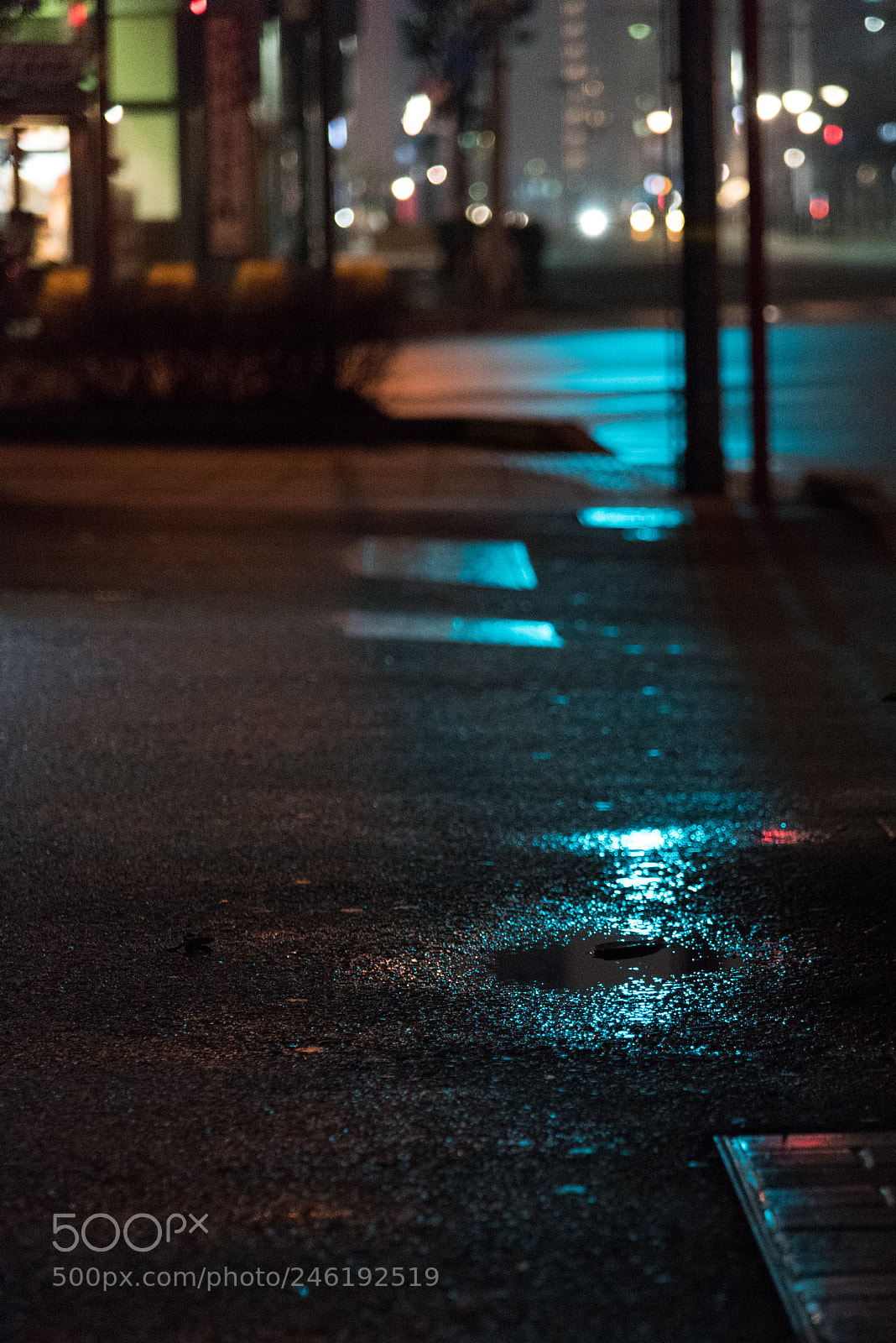 Nikon D810 sample photo. Midnight snap photography