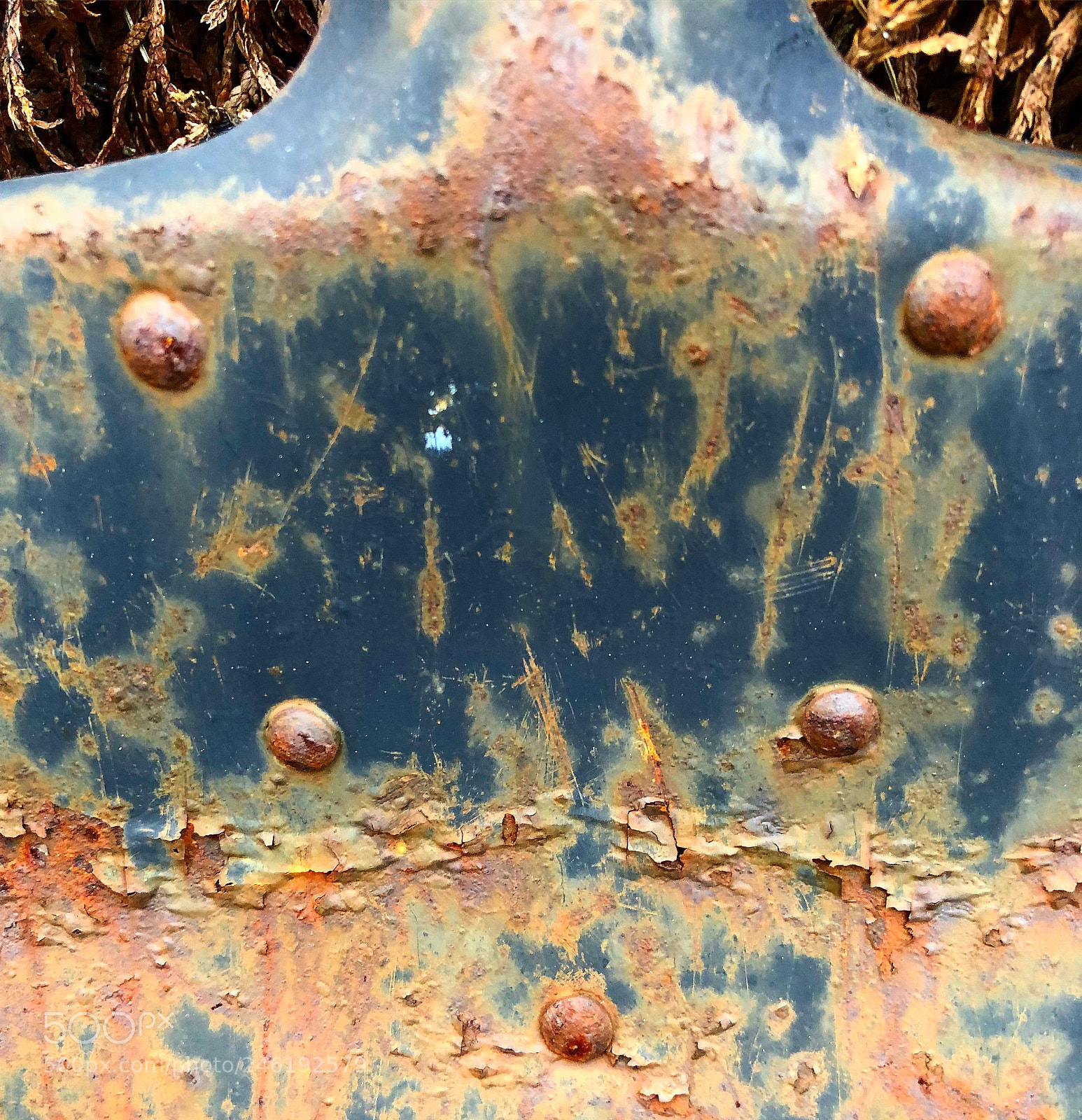 Apple iPhone 8 Plus sample photo. Rusty imagination close-up nice photography
