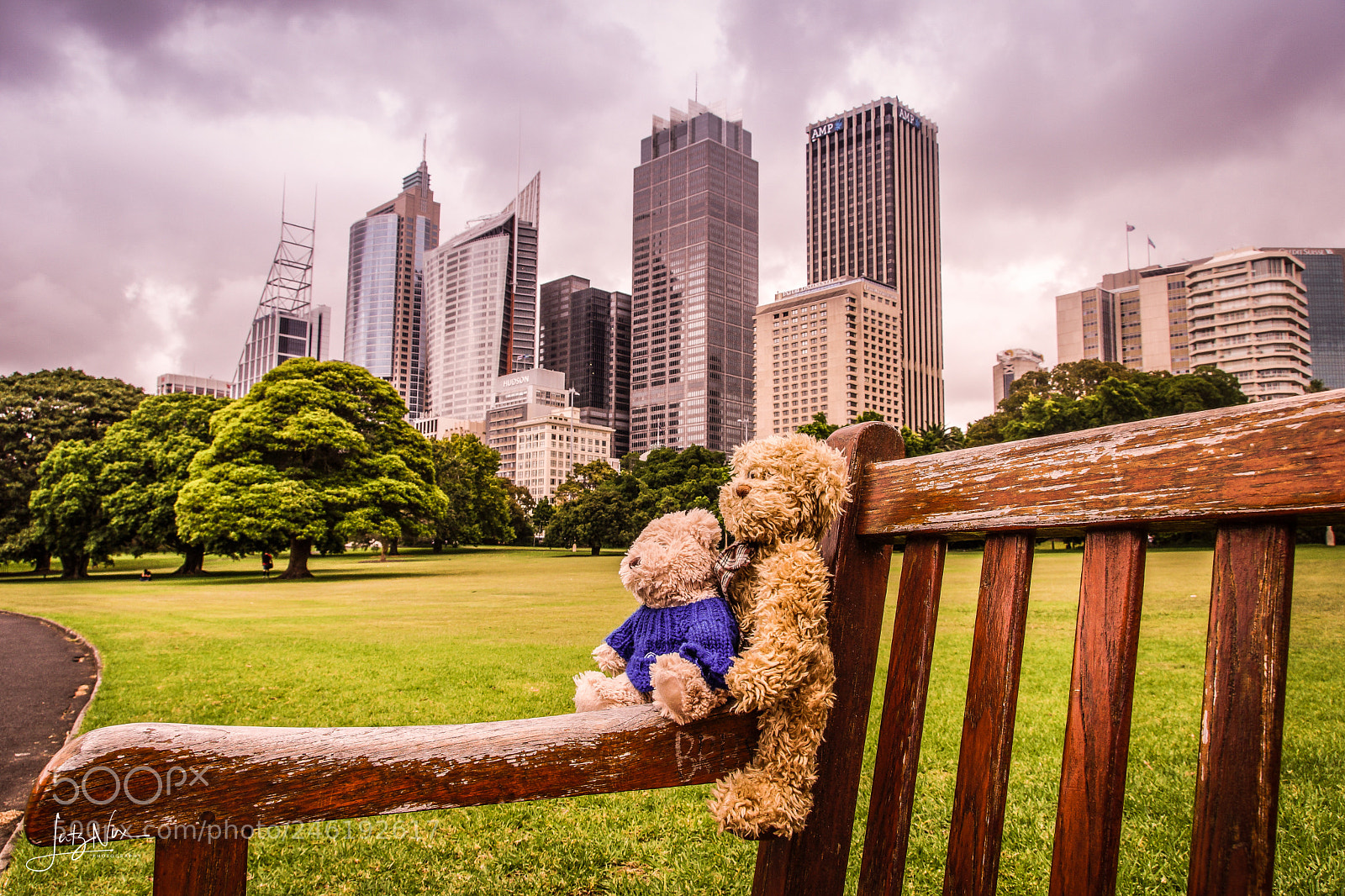 Sony SLT-A65 (SLT-A65V) sample photo. Travelling bears in sydney... photography