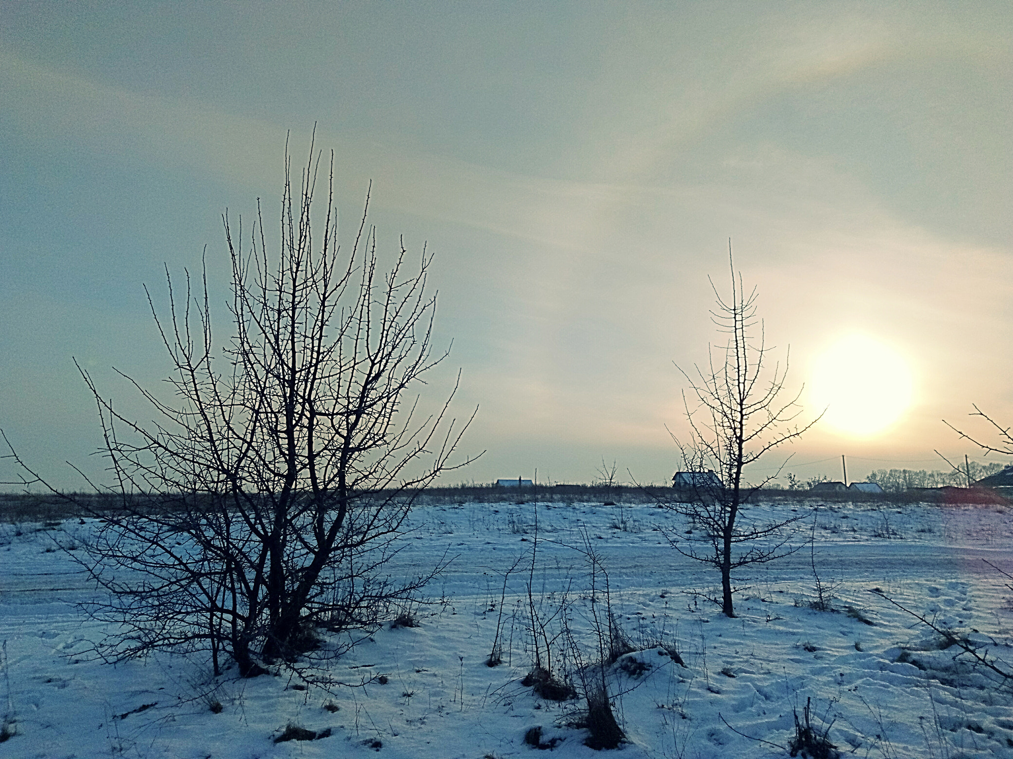 Meizu U20 sample photo