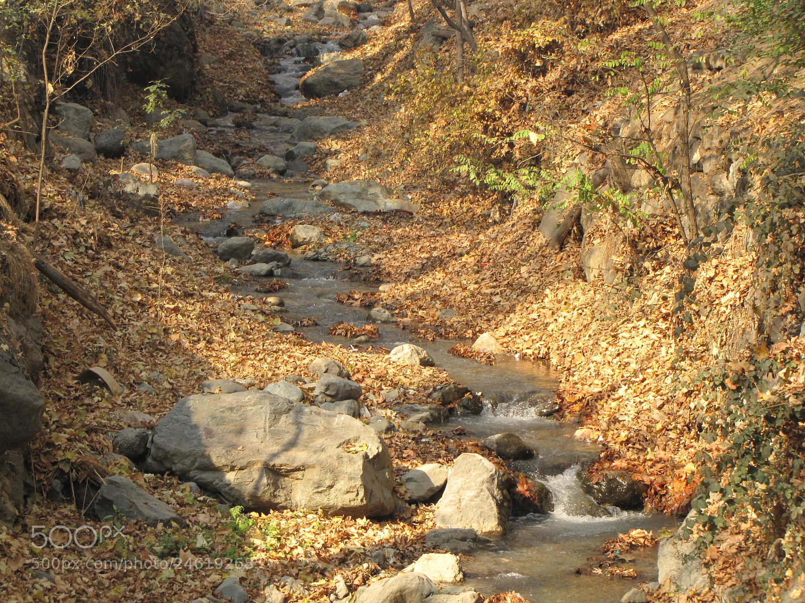 Canon PowerShot SX10 IS sample photo. Img photography
