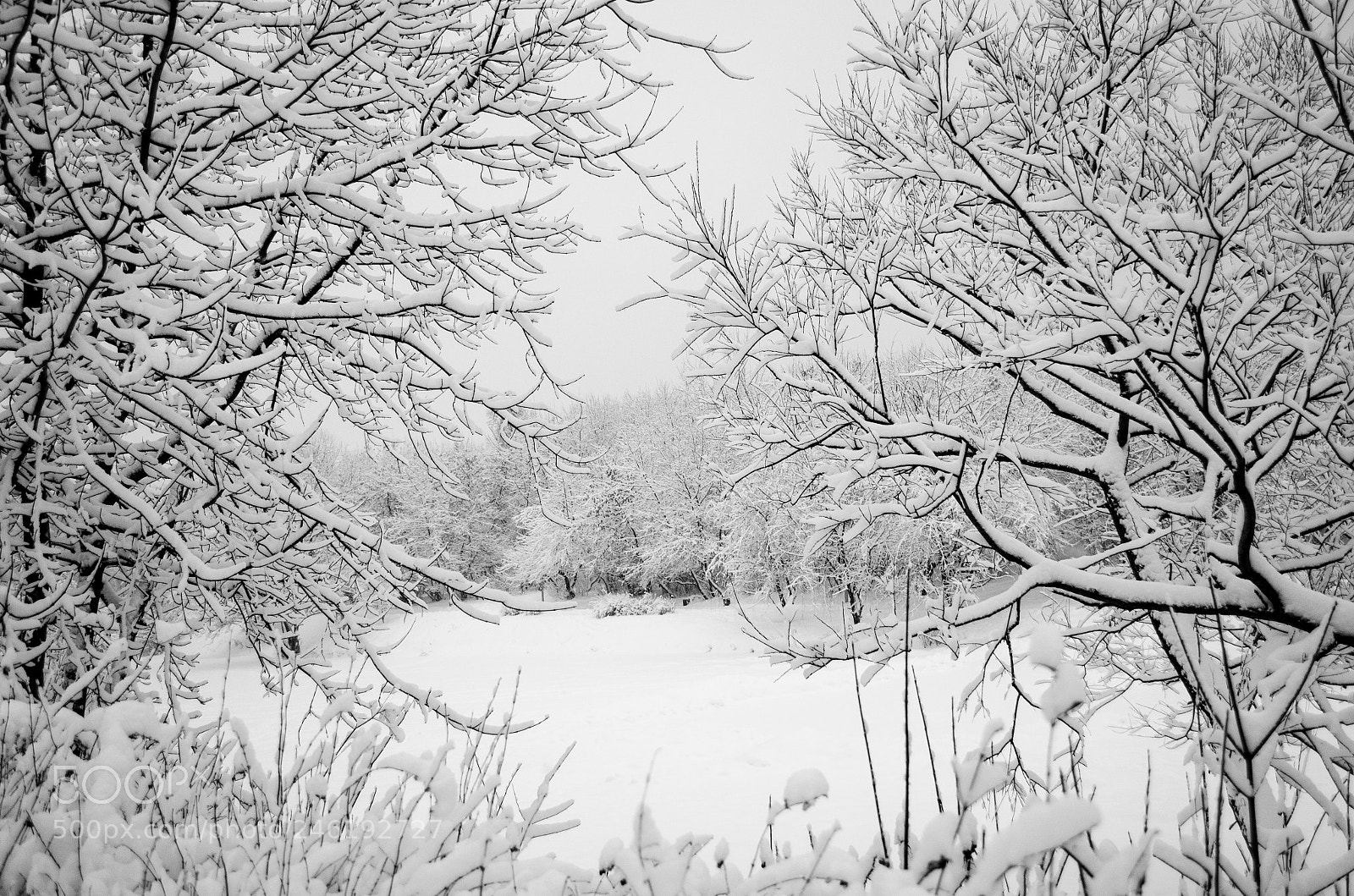 Nikon D5100 sample photo. Winter schedule photography
