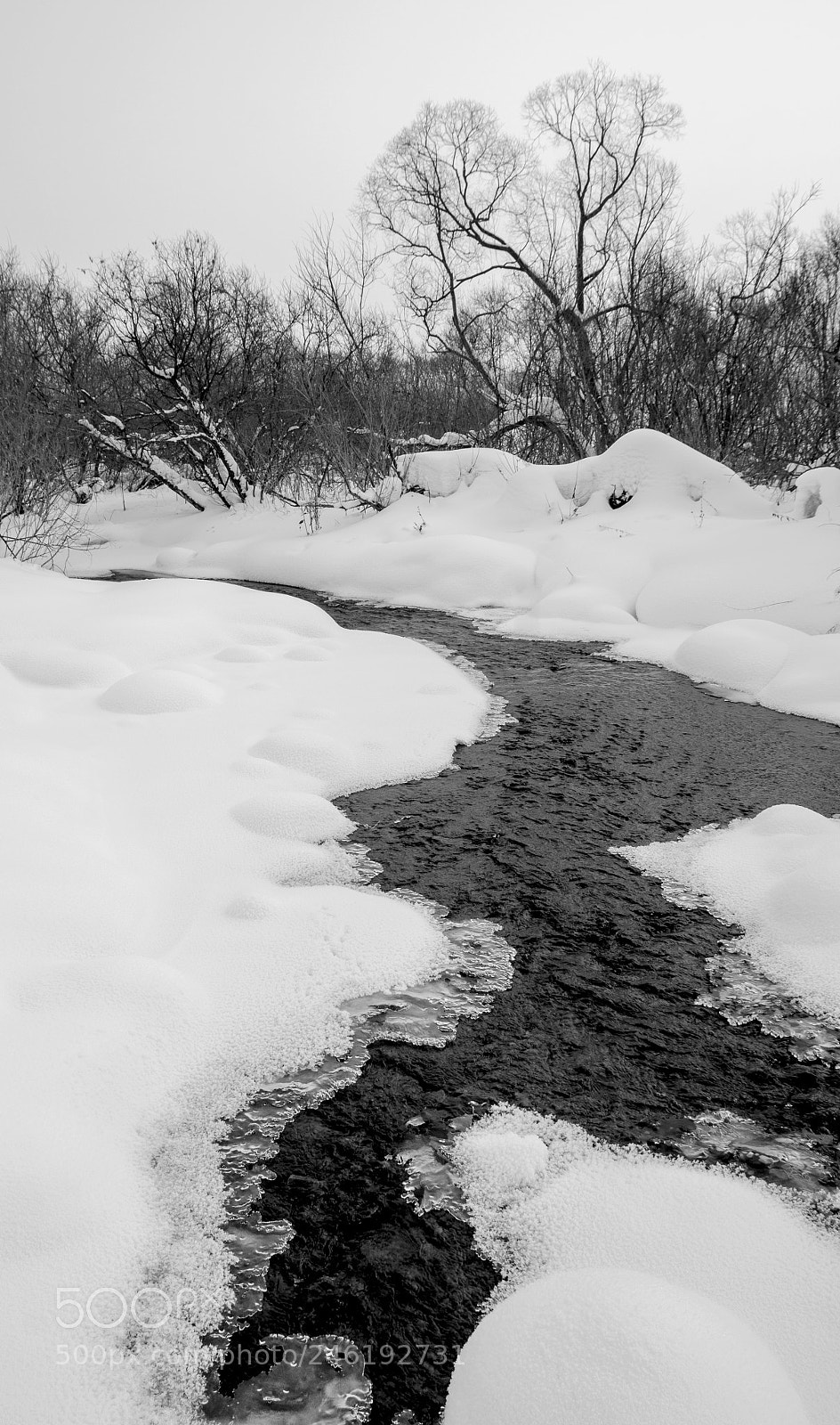 Sony Alpha DSLR-A580 sample photo. Winter graphics photography