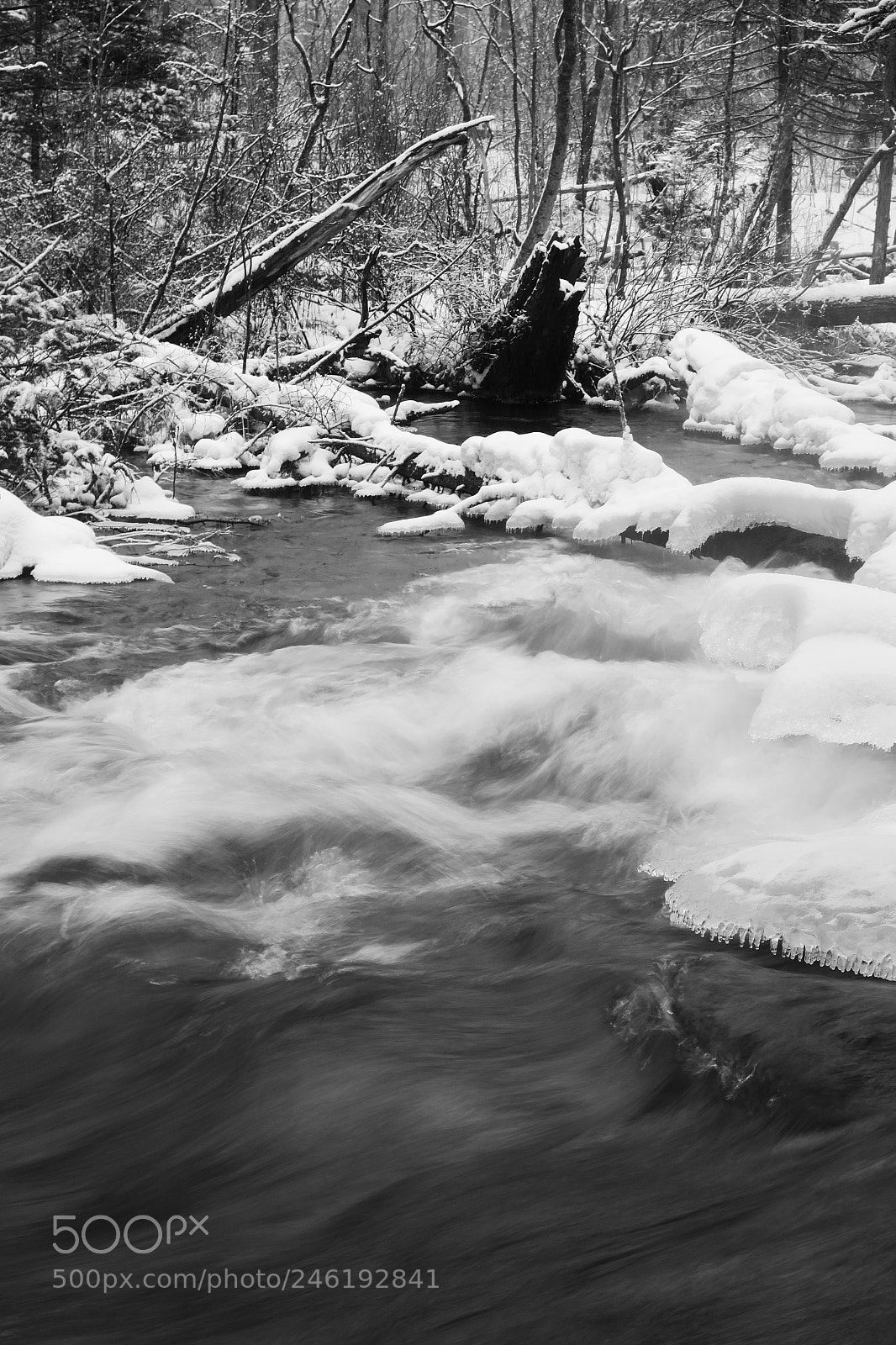 Canon PowerShot G9 X sample photo. Snow and ice on photography