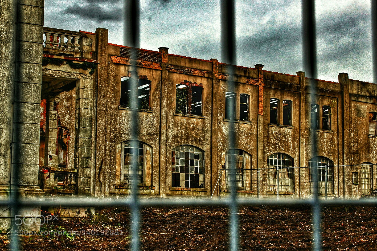 Sony SLT-A77 sample photo. Untitled photography
