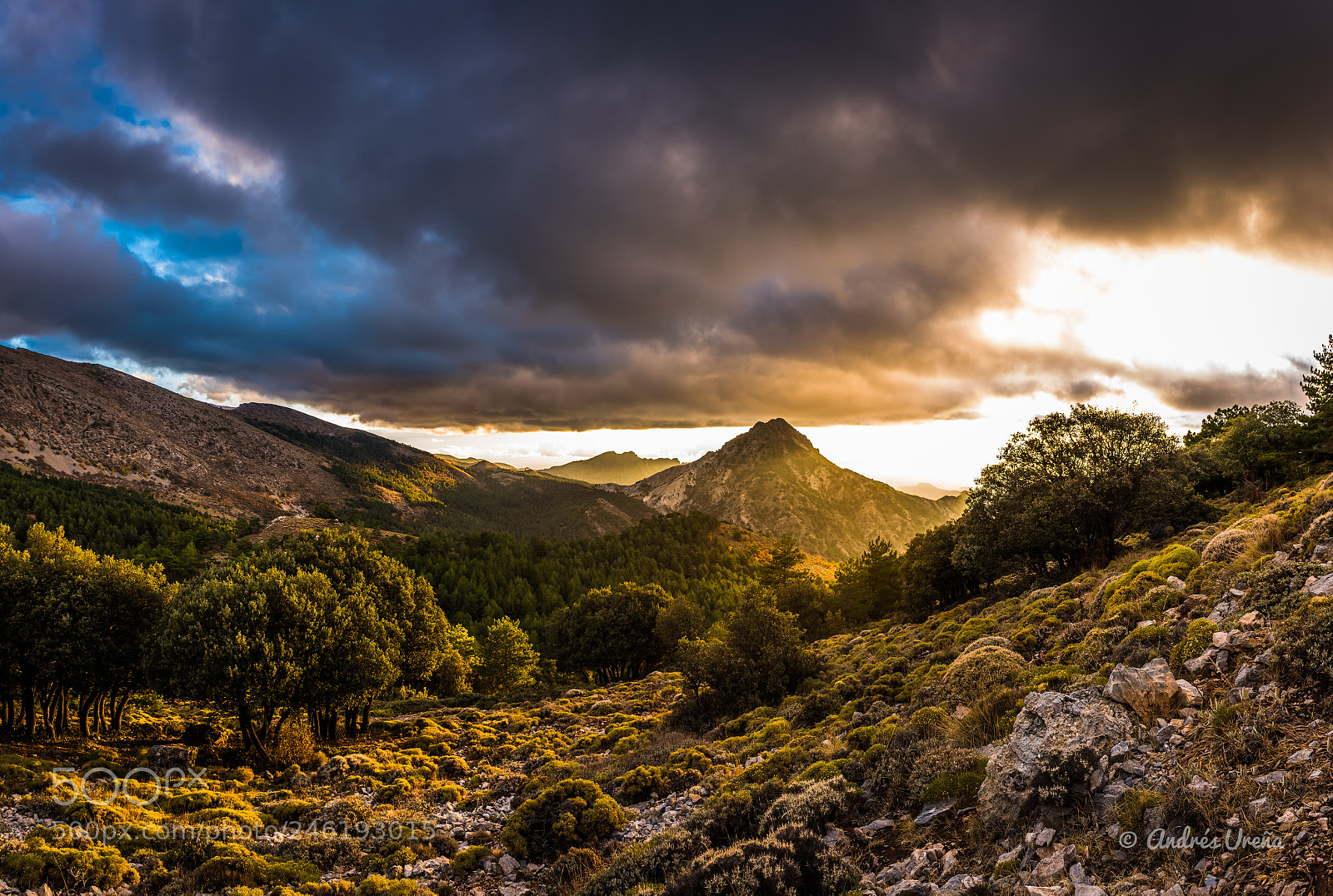 Nikon D810 sample photo. Trevenque desde pico del photography