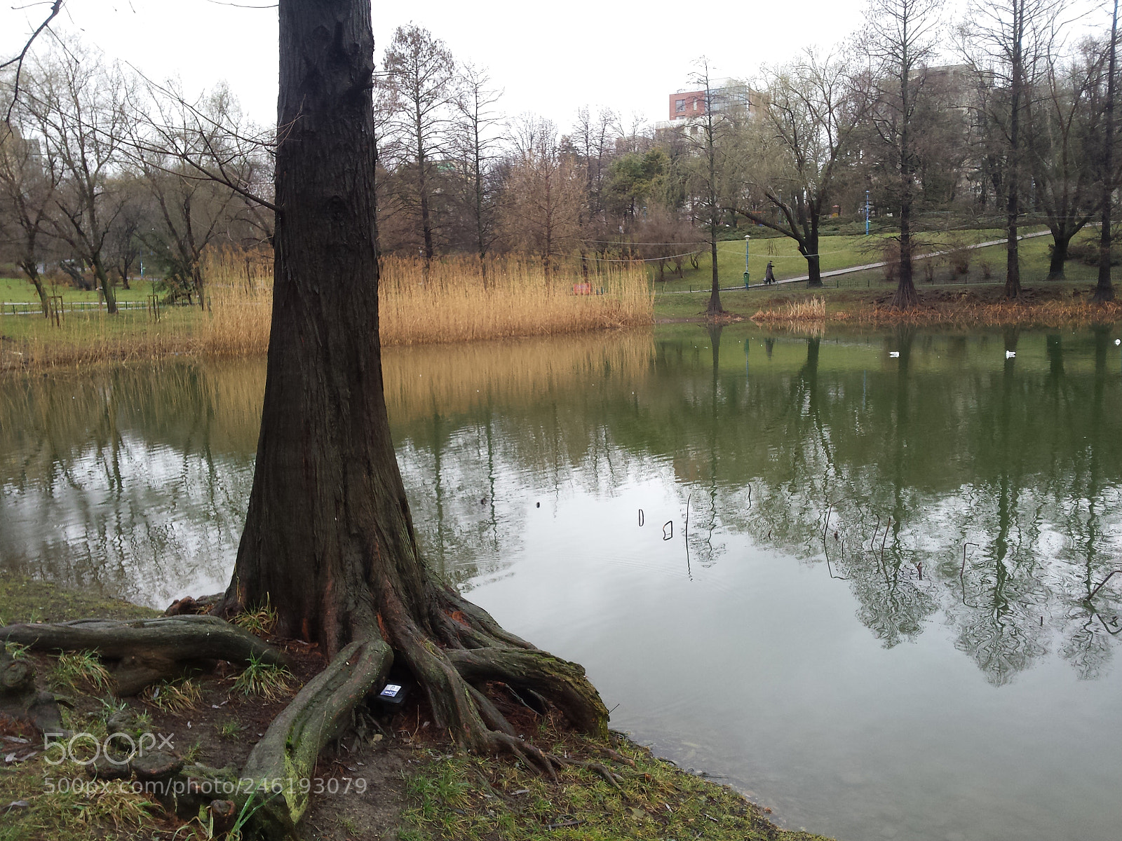 Samsung Galaxy S4 sample photo. Untitled photography