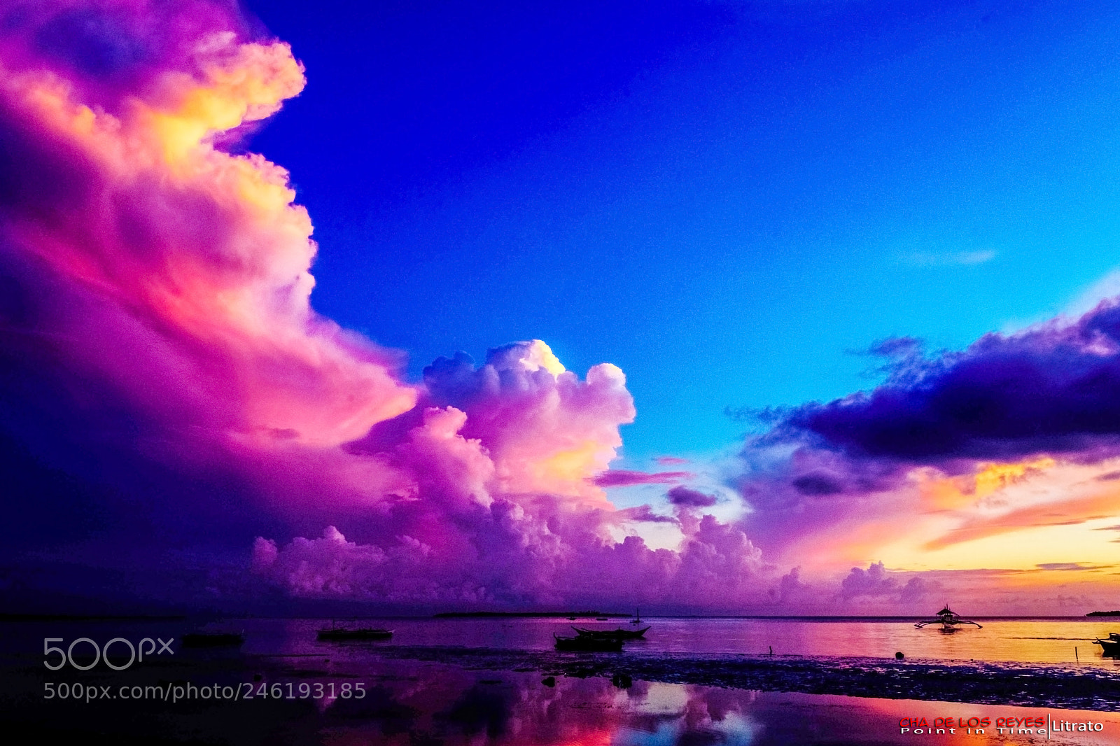 Nikon D7200 sample photo. Purple morning photography