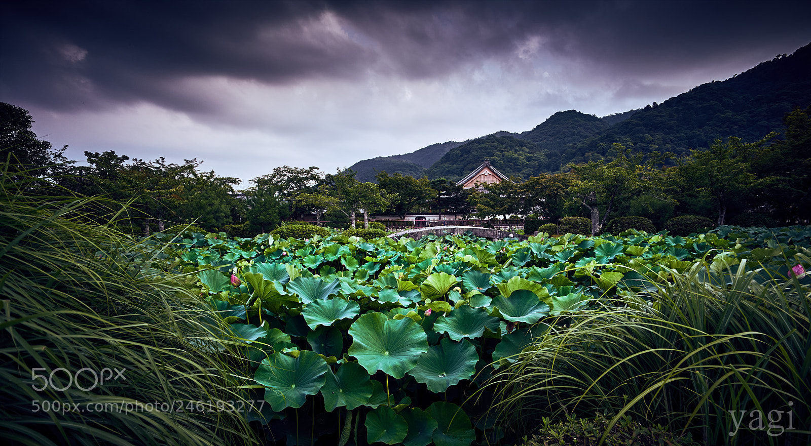 Sony a7 II sample photo. Kyoto photography