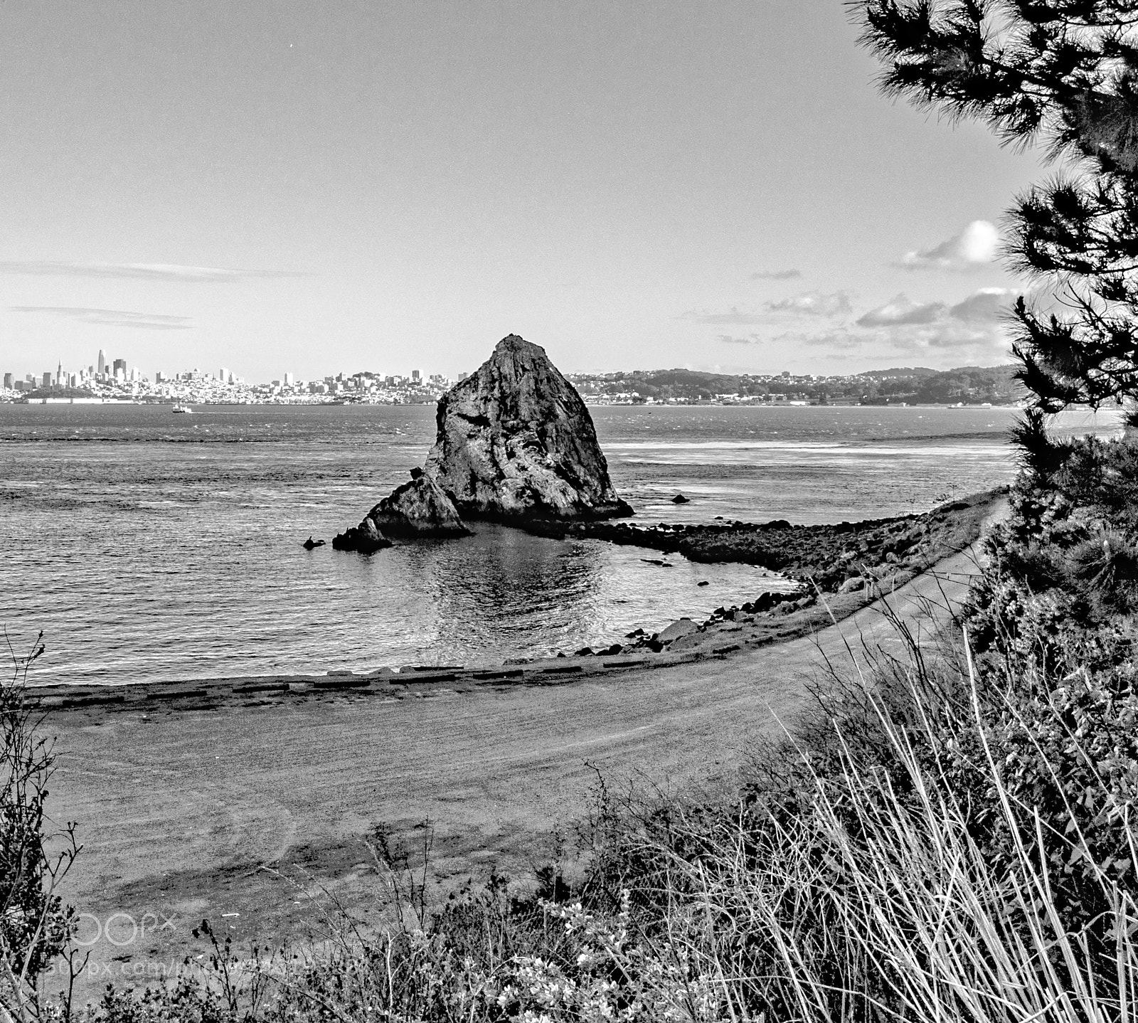 Leica M (Typ 240) sample photo. Sf 39 photography