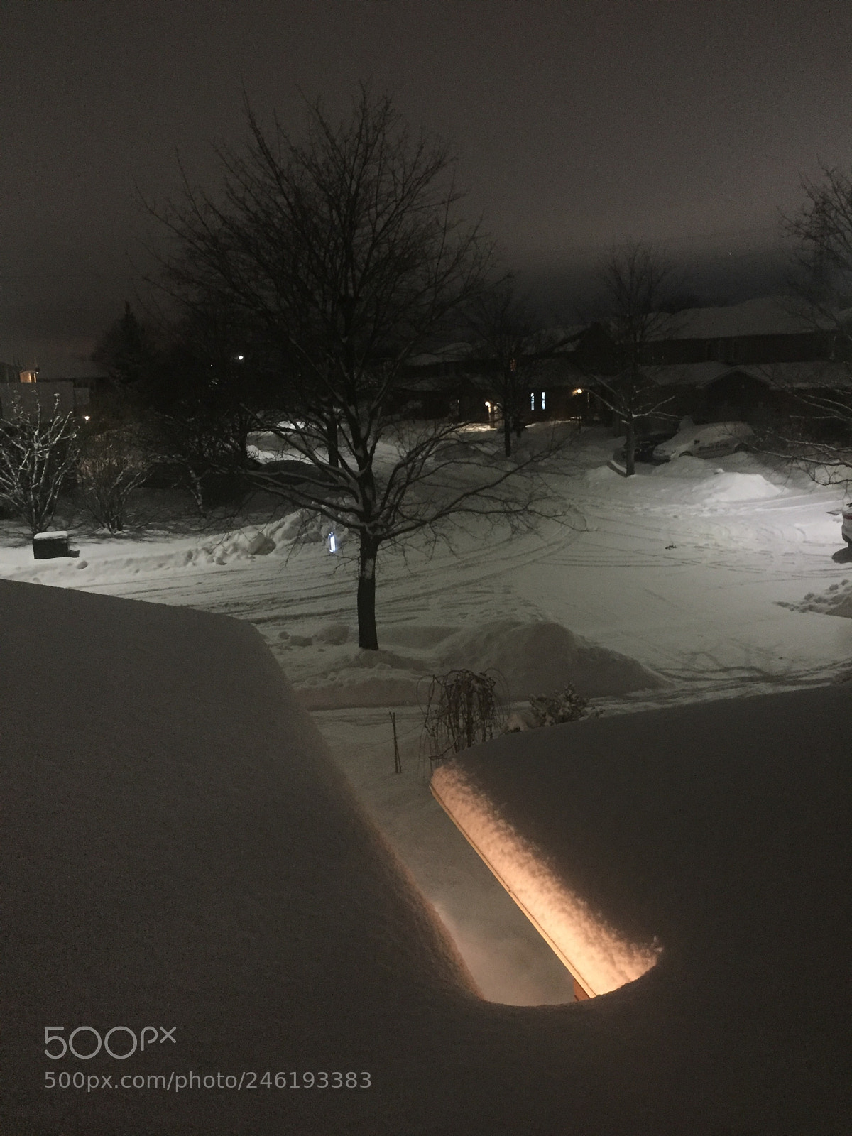 Apple iPhone 6 sample photo. Canadian winter from my photography