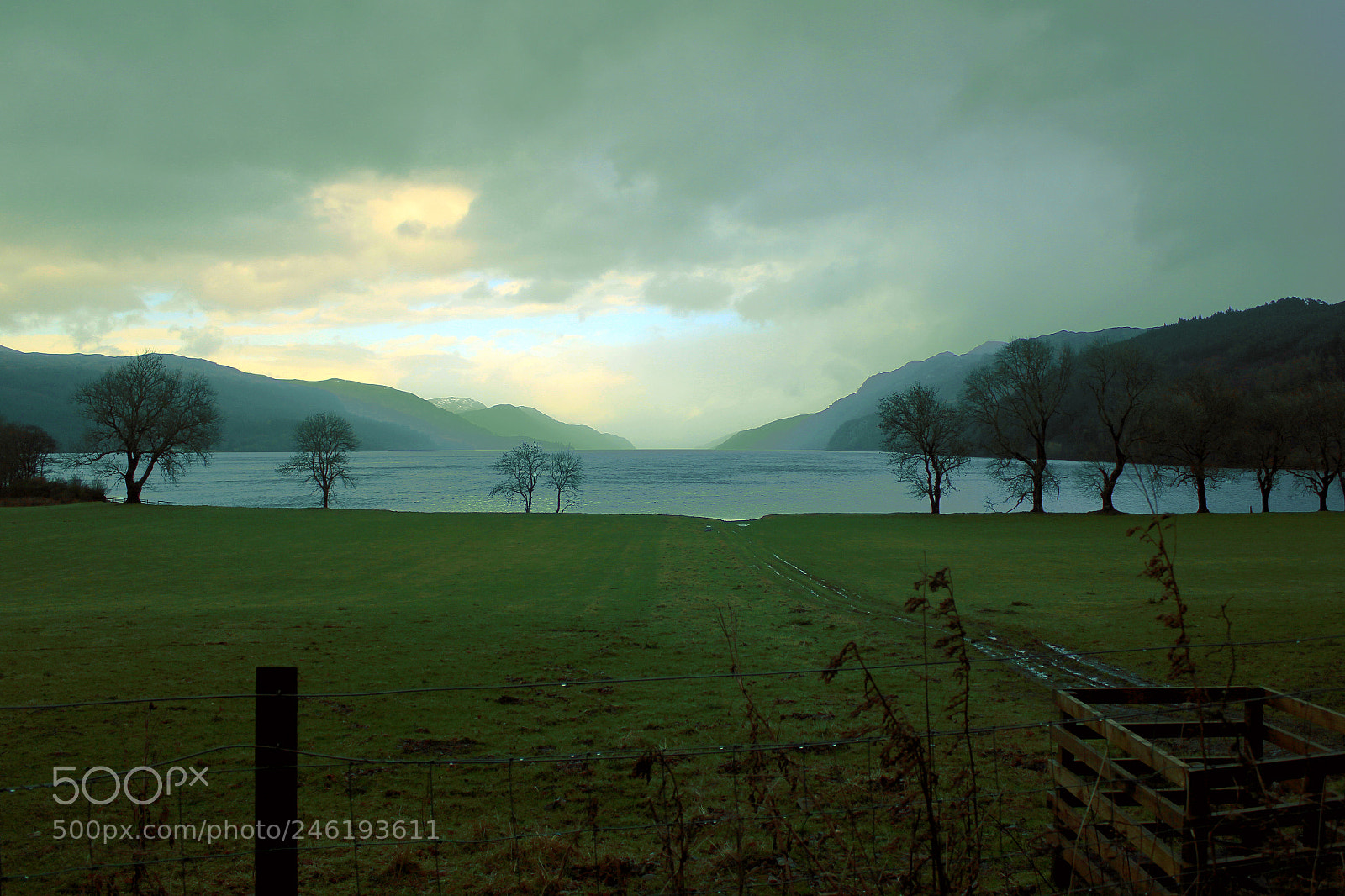 Canon EOS 550D (EOS Rebel T2i / EOS Kiss X4) sample photo. The mysterious loch ness photography