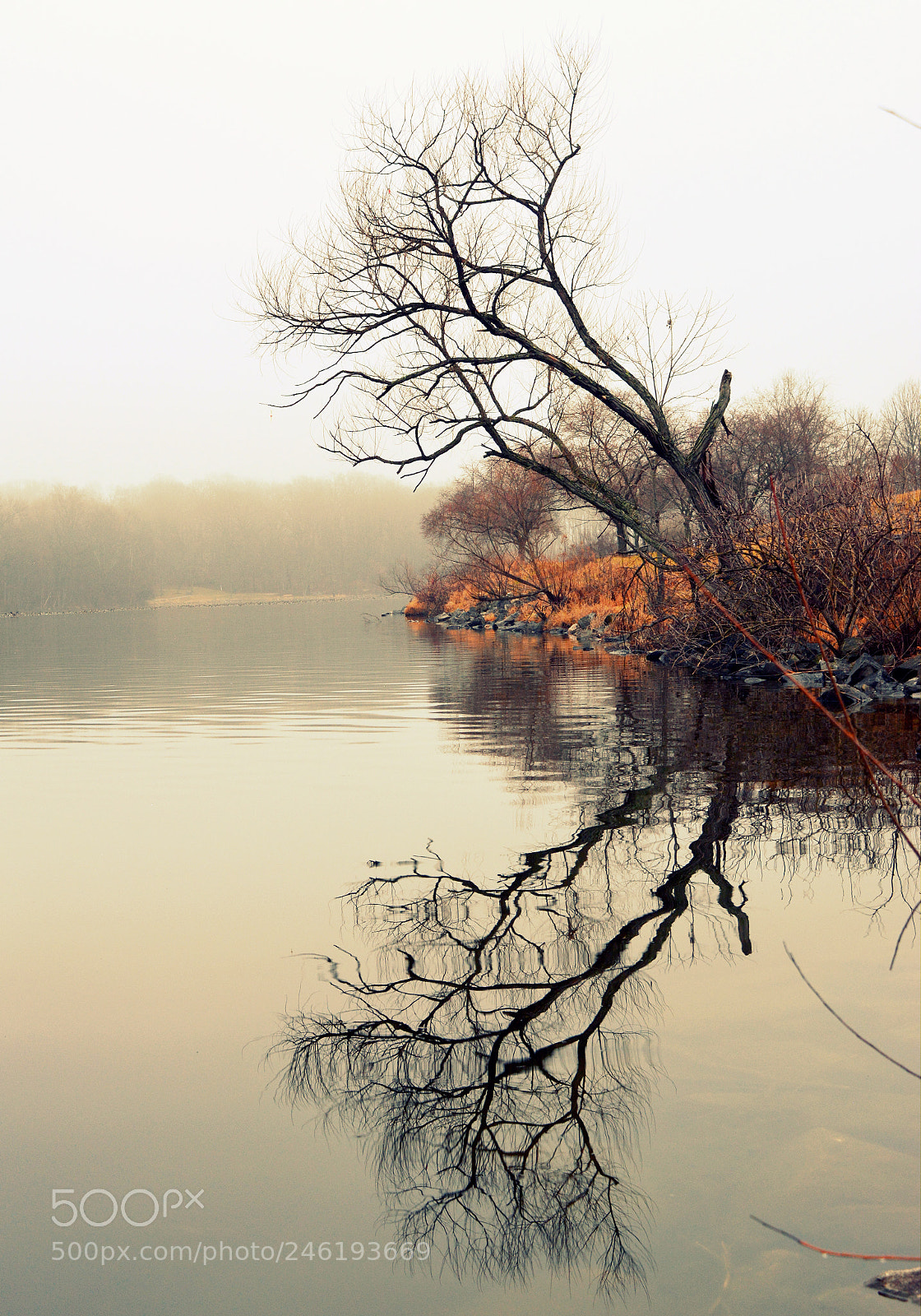 Nikon D5200 sample photo. Reflection of life photography
