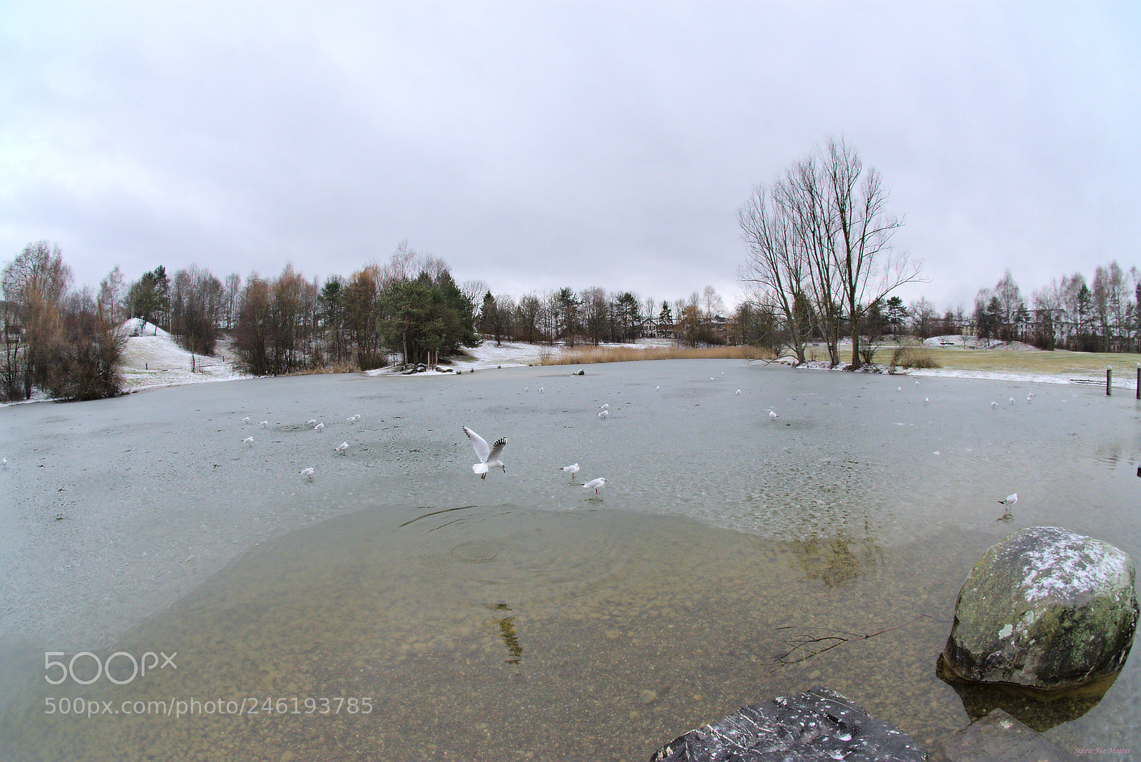 Nikon D7200 sample photo. Wintermood photography