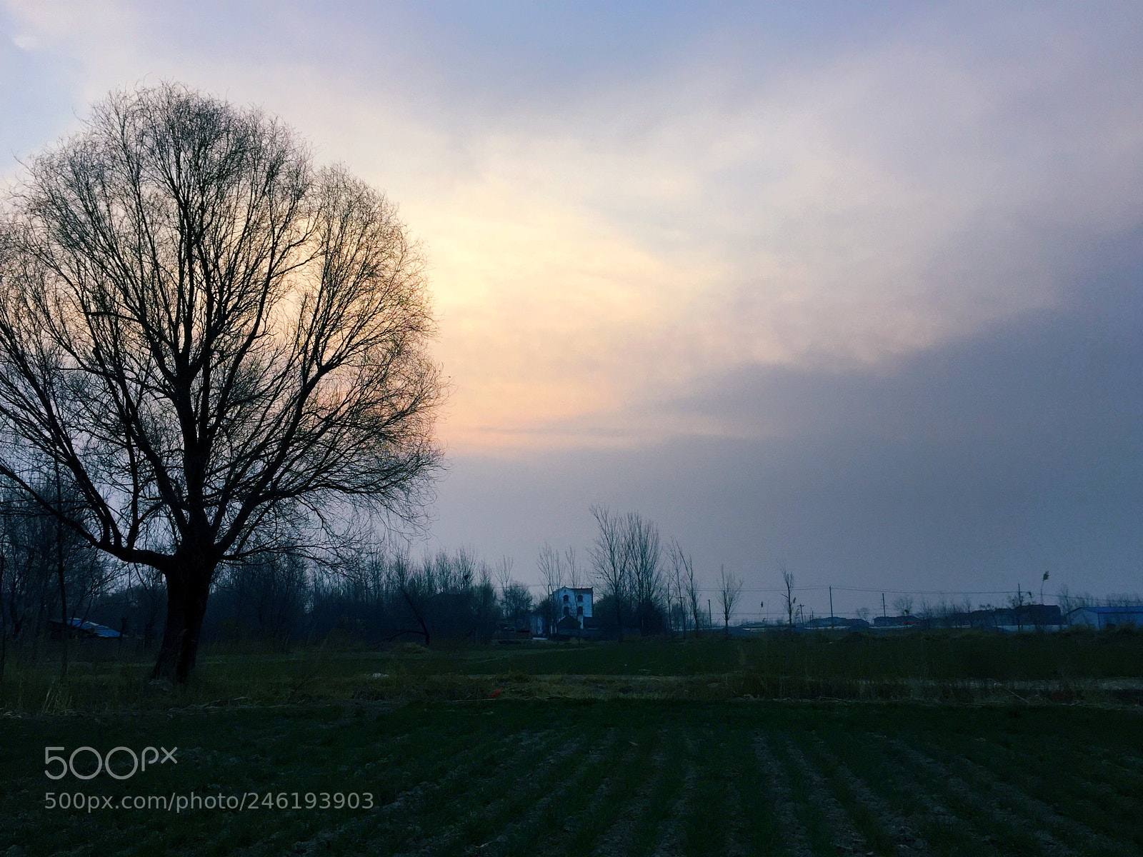 Apple iPhone 6 sample photo. My country photography