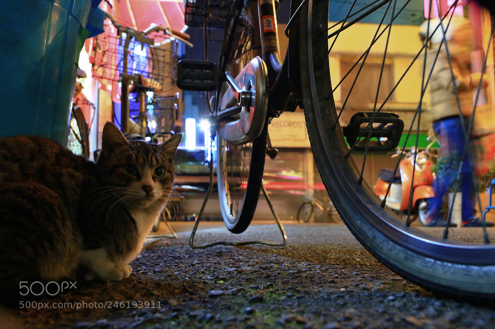 Canon EOS 7D Mark II sample photo. The night when it photography