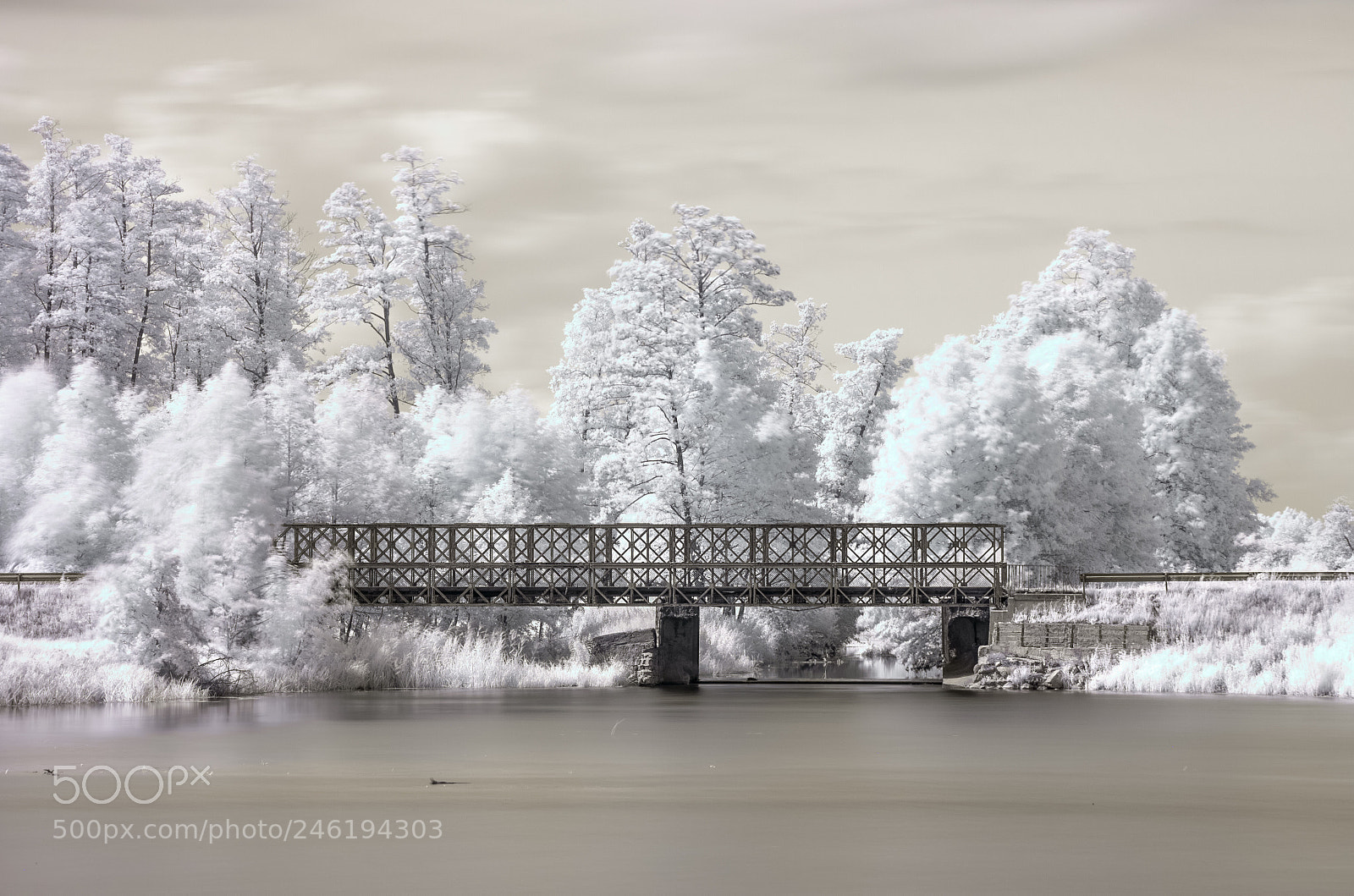 Canon EOS 50D sample photo. Steel bridge over sona photography