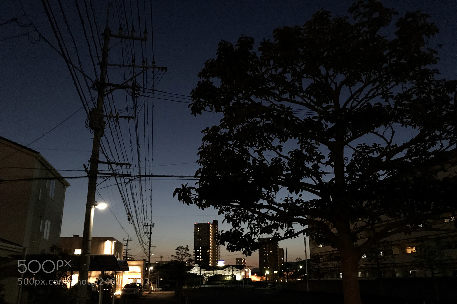 Apple iPhone 7 sample photo. Untitled photography