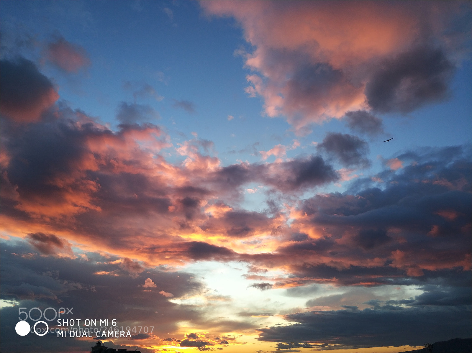 Xiaomi MI6 sample photo. Untitled photography