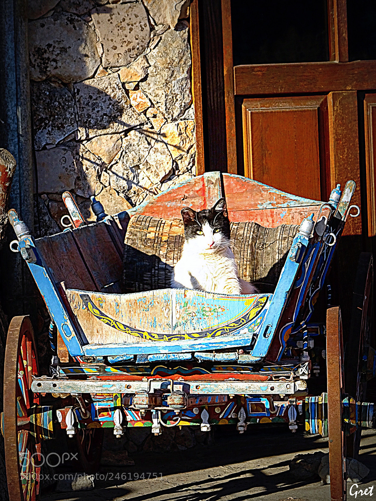 Sony DSC-HX60 sample photo. A cat's place photography