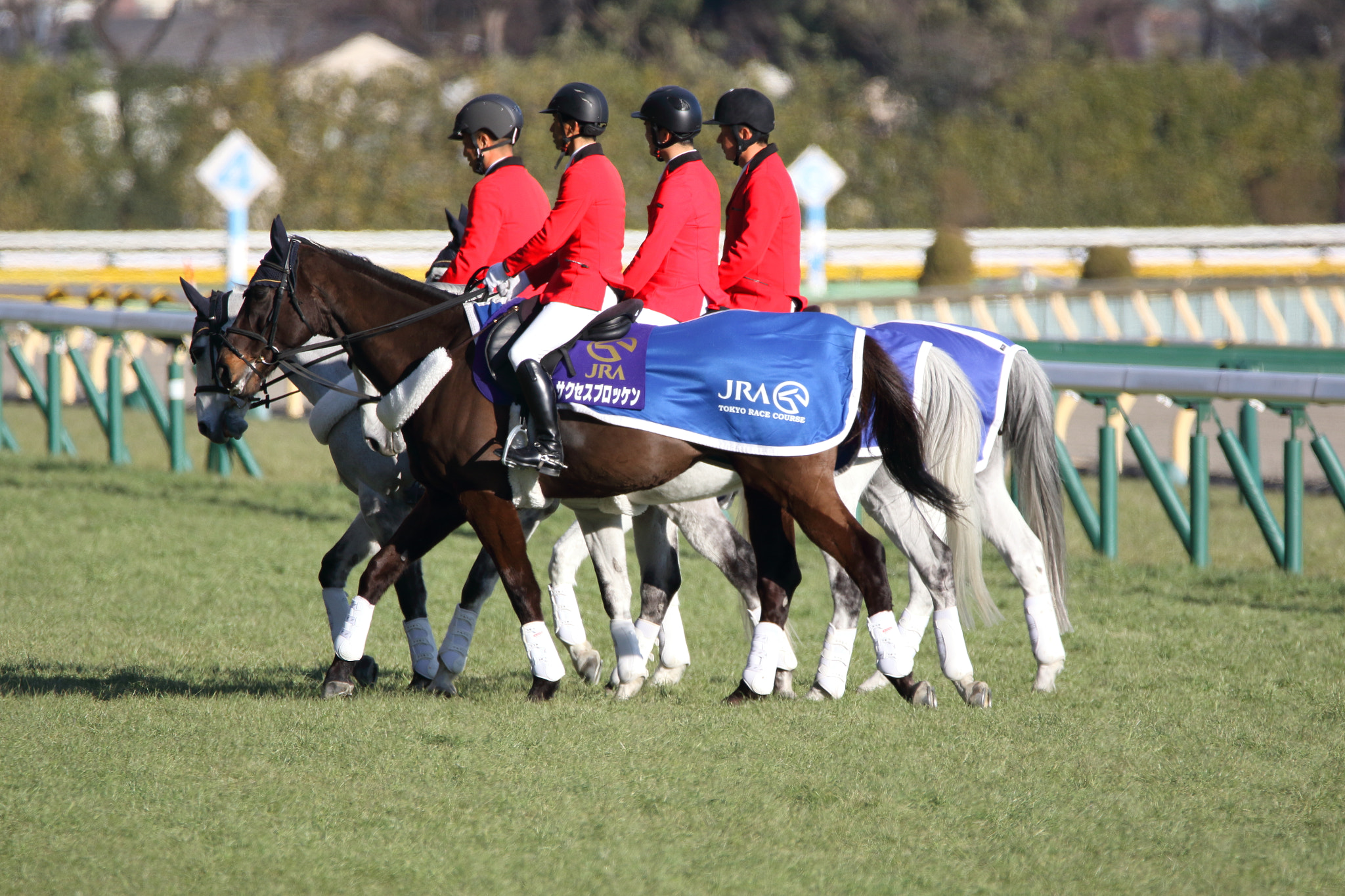 Sigma 150-600mm F5-6.3 DG OS HSM | C sample photo. Read horse photography