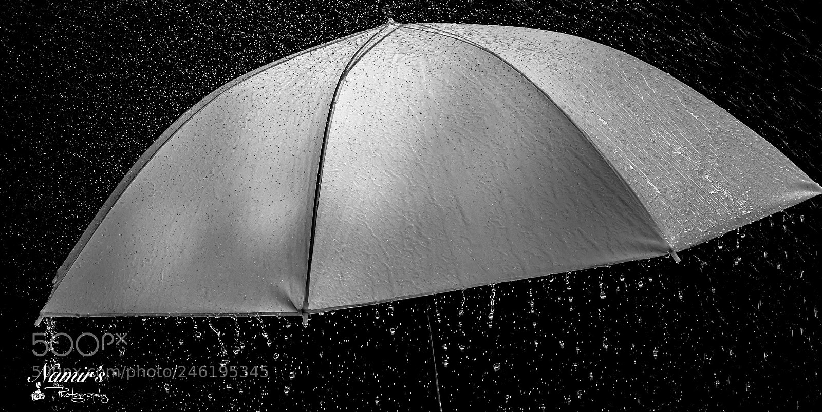 Nikon D500 sample photo. Rain art photography