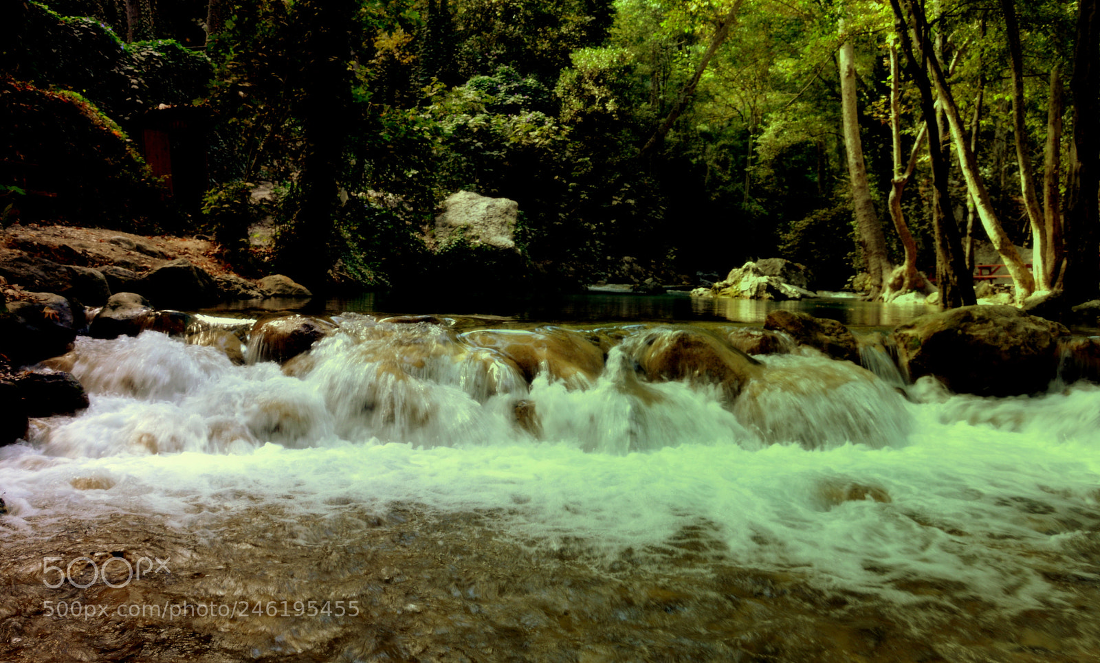 Nikon D3200 sample photo. Serinlik photography