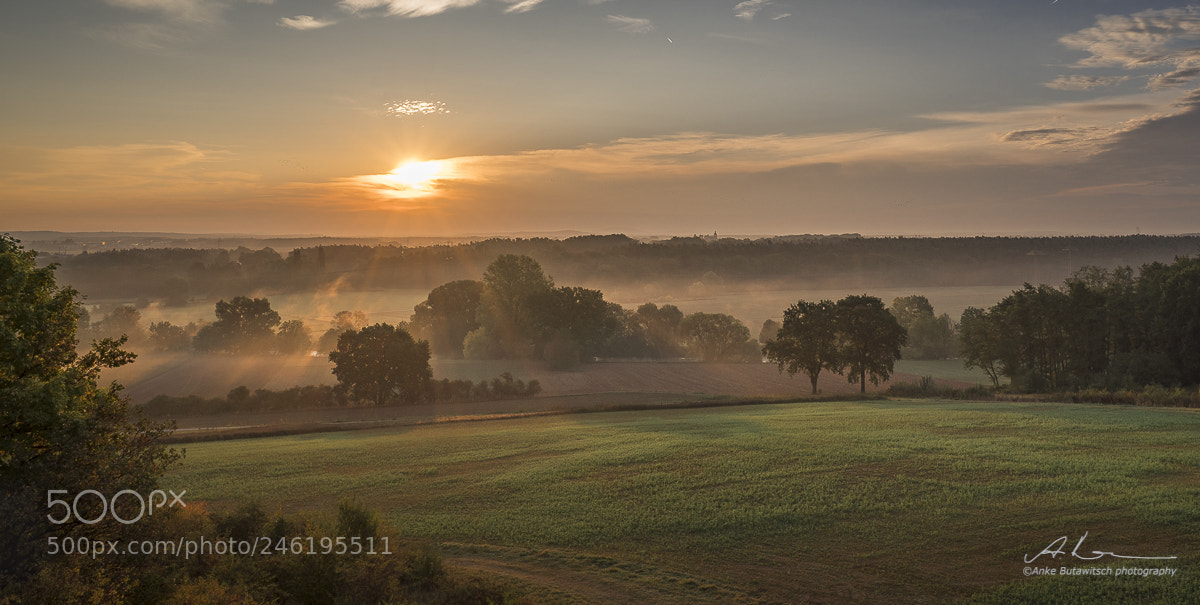 Sony a7R II sample photo. Beginning of the day photography