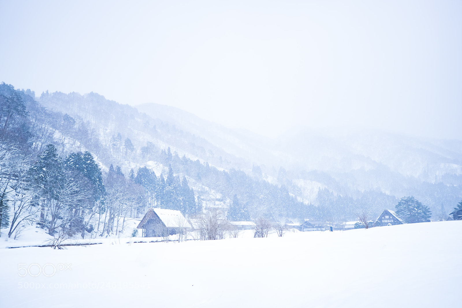 Canon EOS-1D X Mark II sample photo. Snowing photography