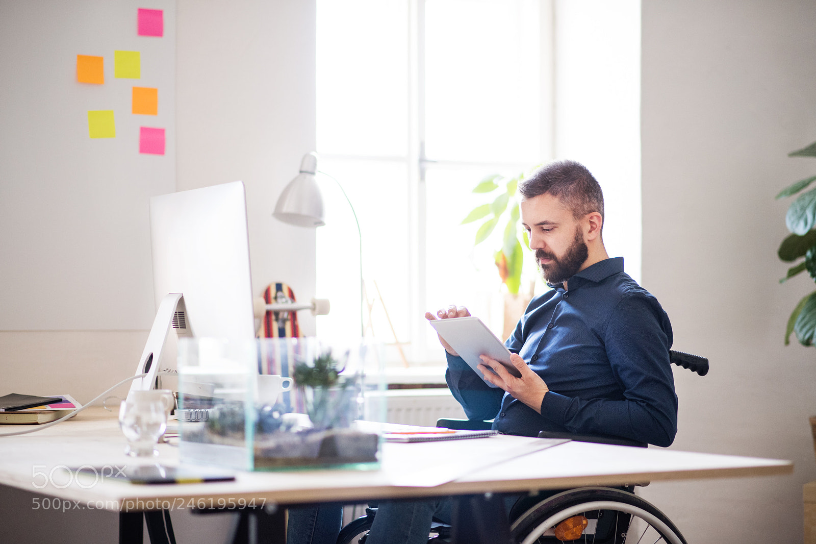 Nikon D5 sample photo. Businessman in wheelchair with photography