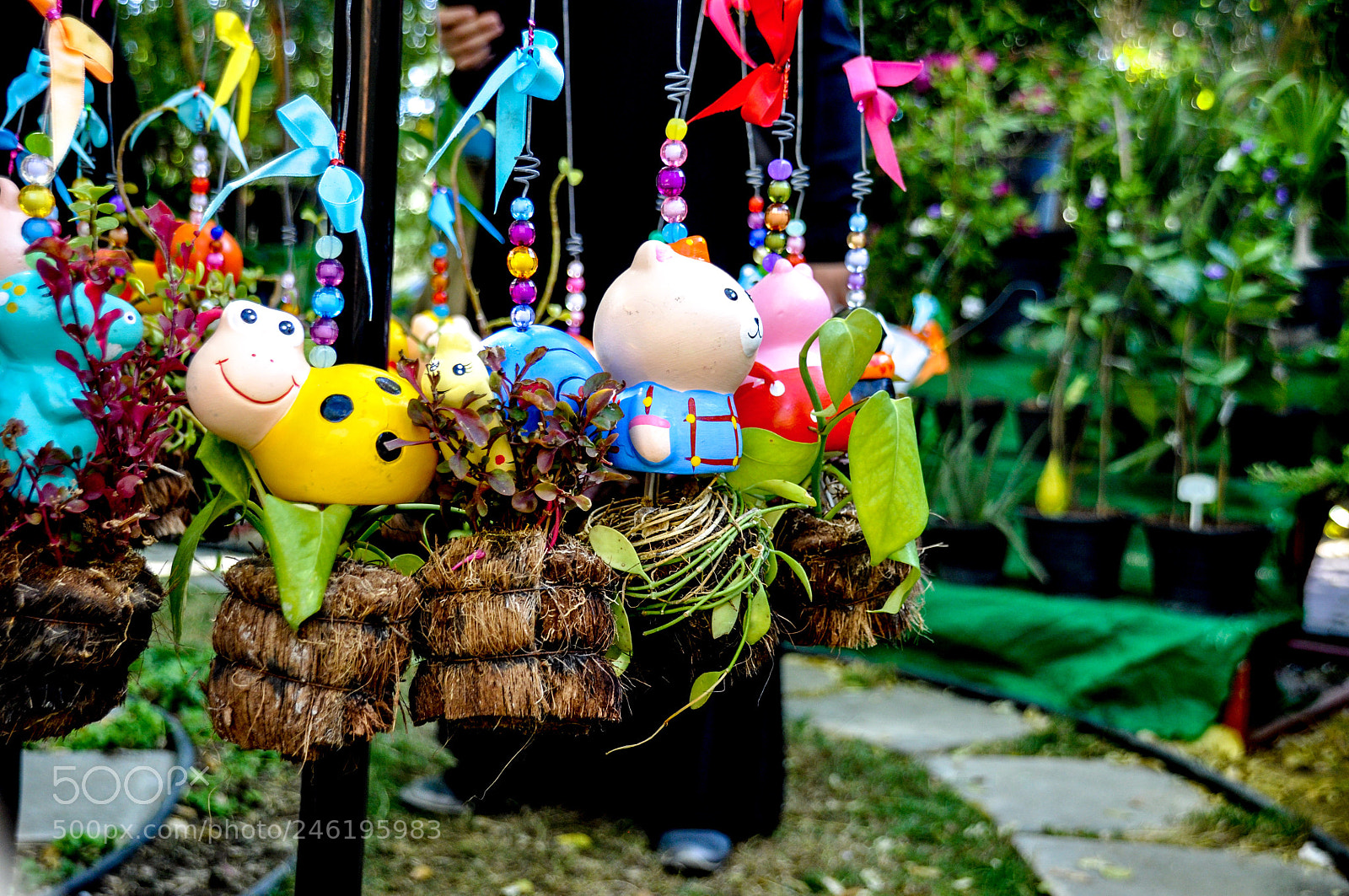 Nikon D90 sample photo. Untitled photography