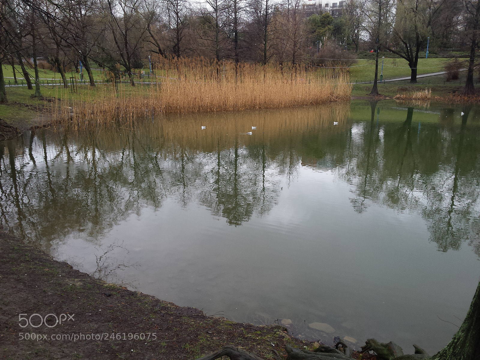 Samsung Galaxy S4 sample photo. Untitled photography