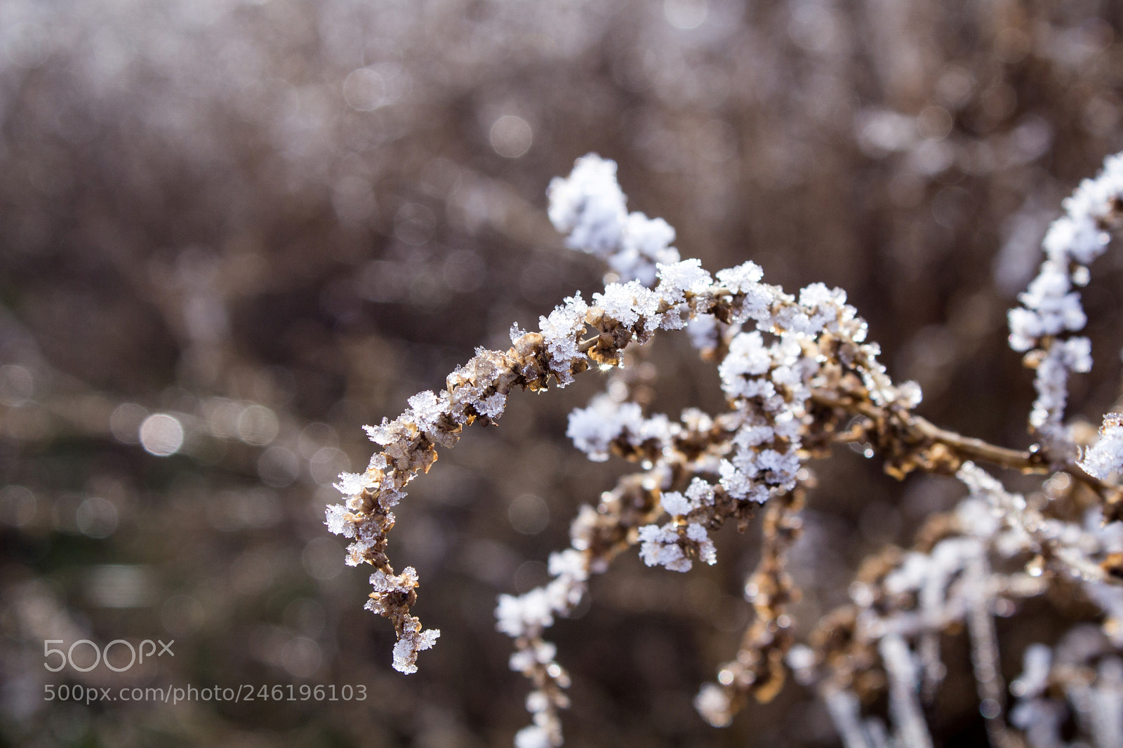 Canon EOS 600D (Rebel EOS T3i / EOS Kiss X5) sample photo. In ice photography