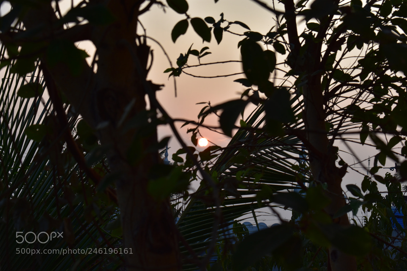 Nikon D3400 sample photo. Sunset photography
