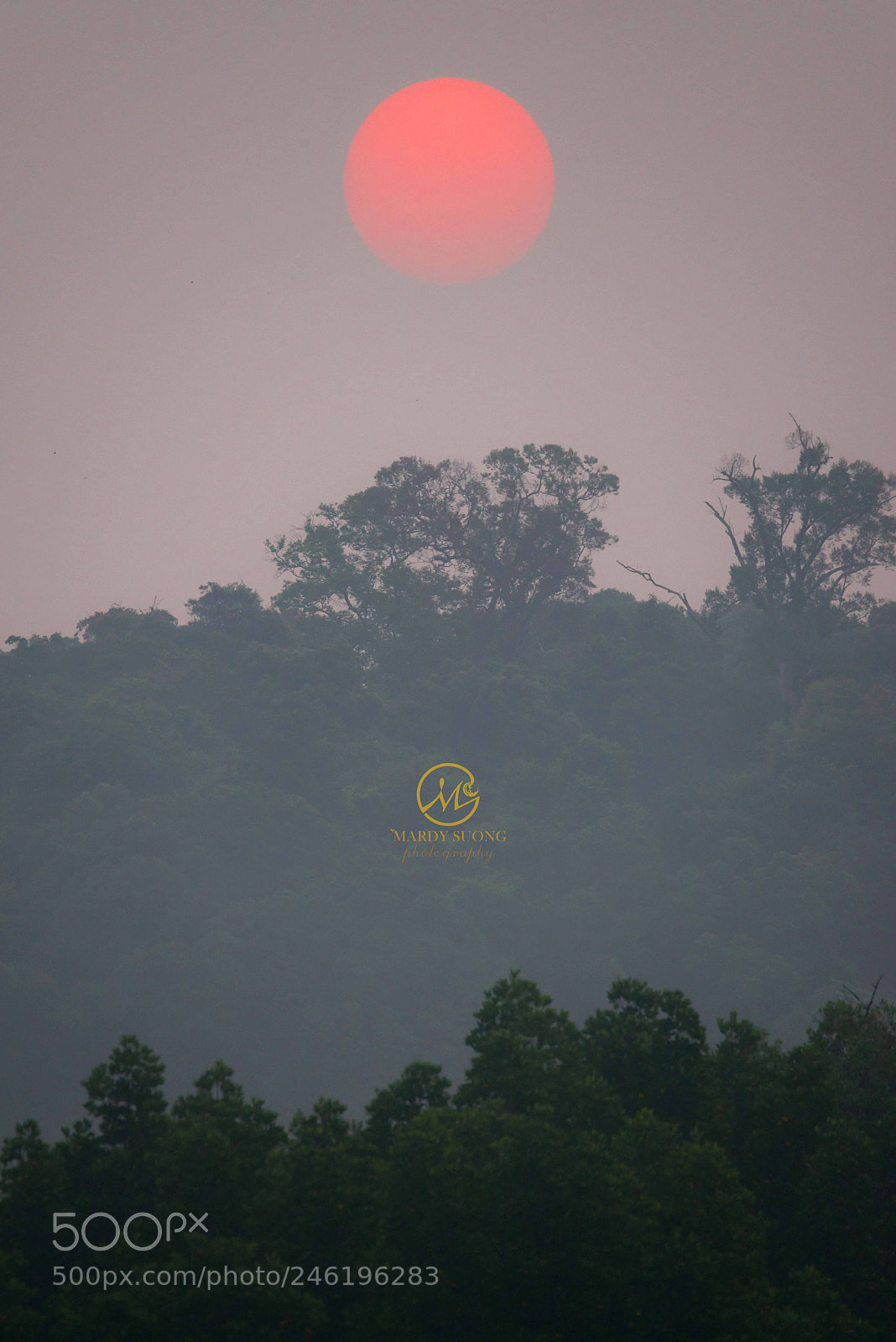Nikon D800 sample photo. ធម្មជាតិ​ និងថ្ងៃរះ nature and sunrise photography