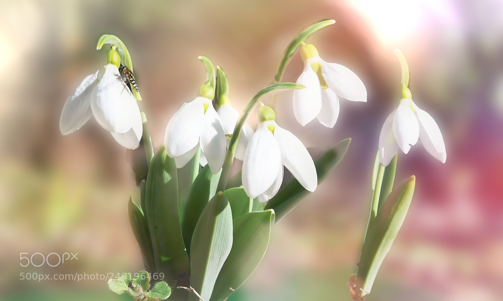 Nikon D500 sample photo. Prove!! photography