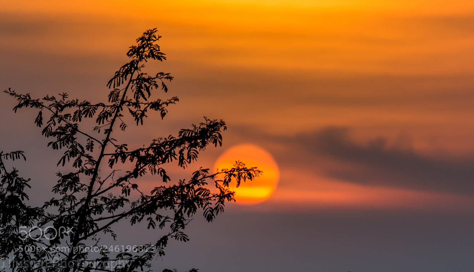Nikon D5200 sample photo. Sunset of 14th feb photography