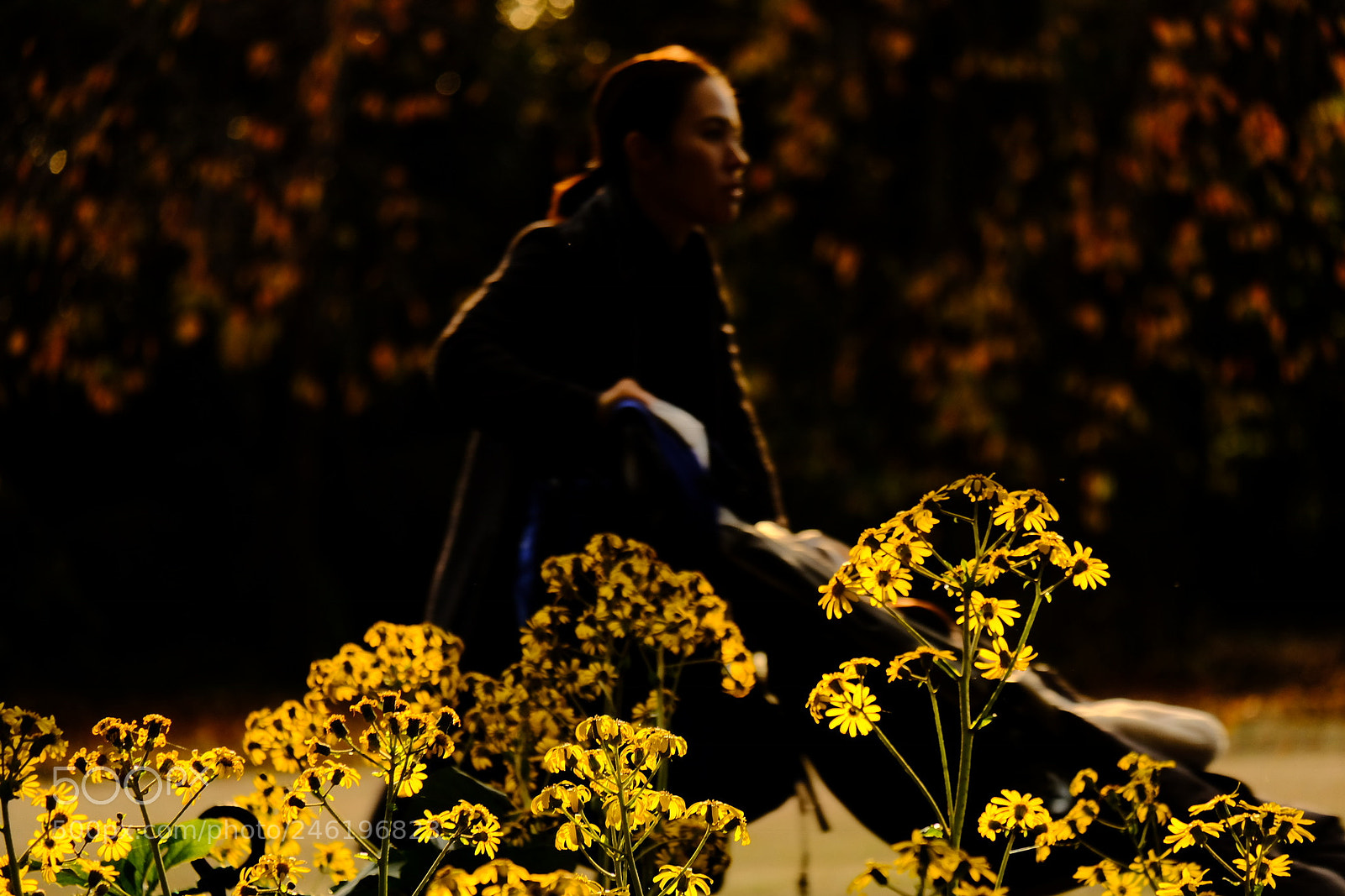 Fujifilm X-T20 sample photo. Walk photography